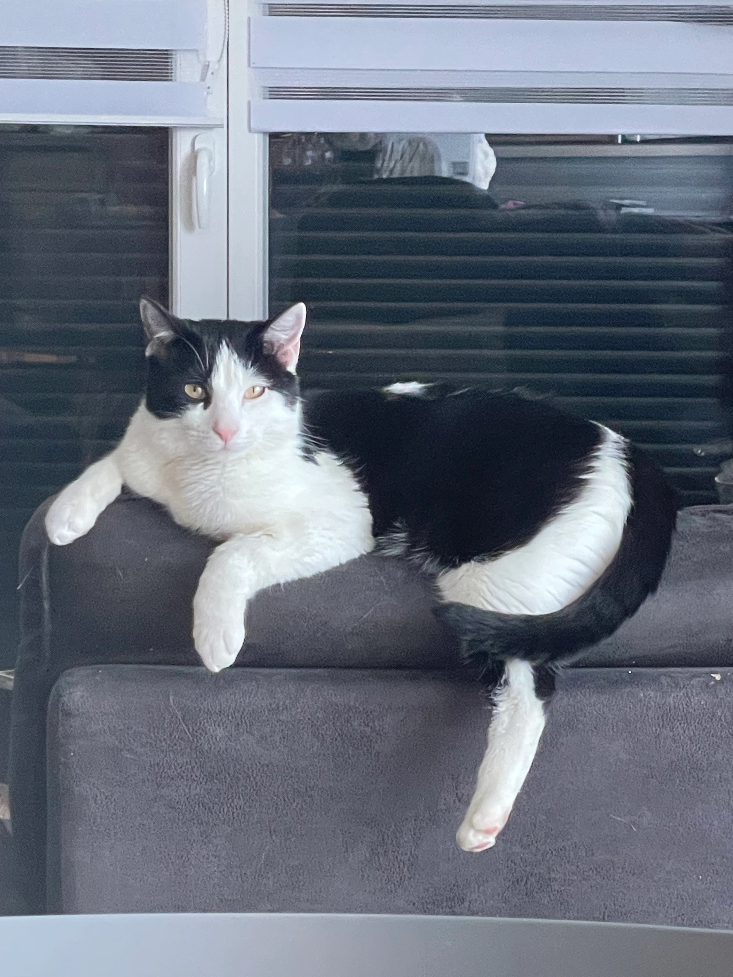 Twix - Rue Des Combancés, Meroux