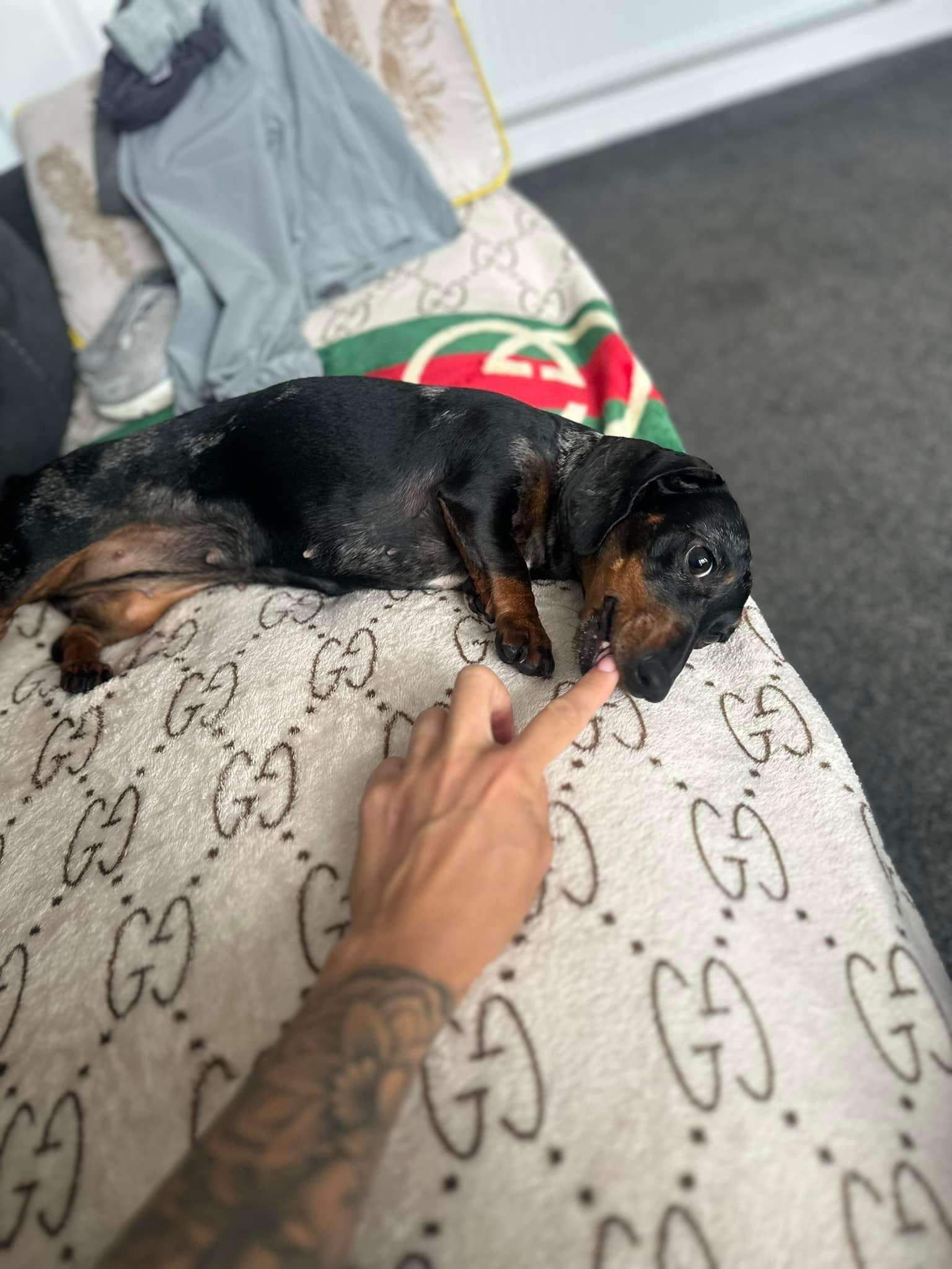 Bonnie - Park Road North, Birkenhead