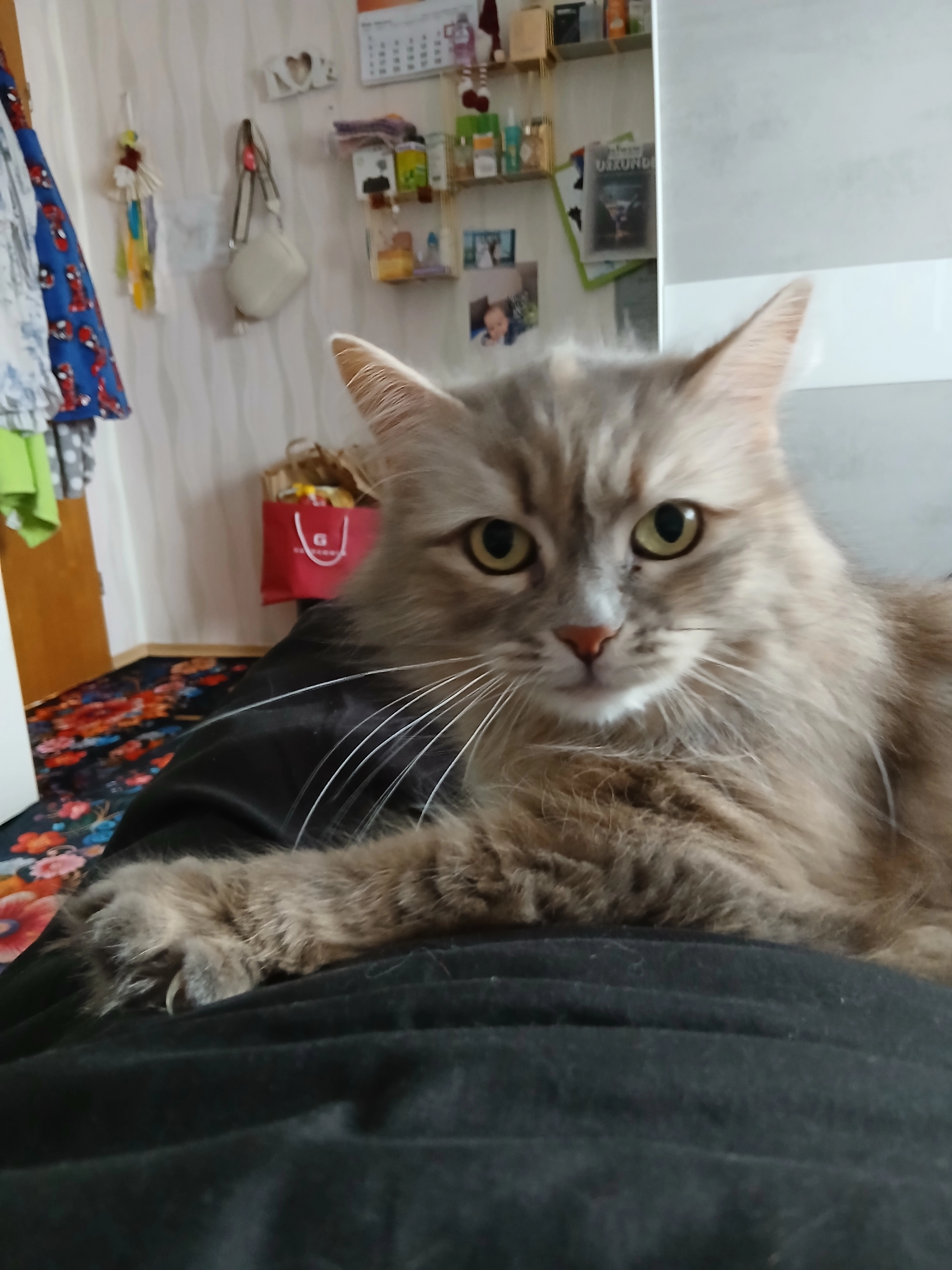 Aluscha - Graben, Waldkirchen