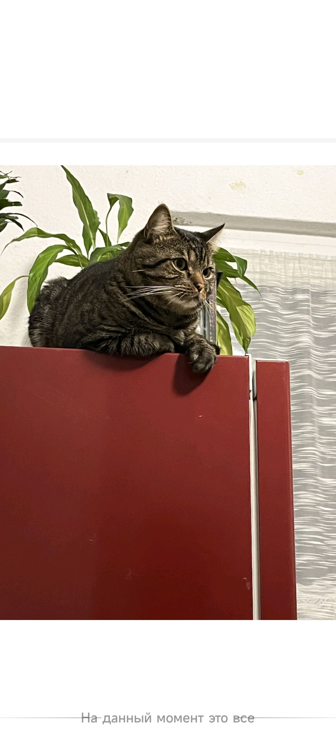 Tomas - Ölgrube, Merseburg