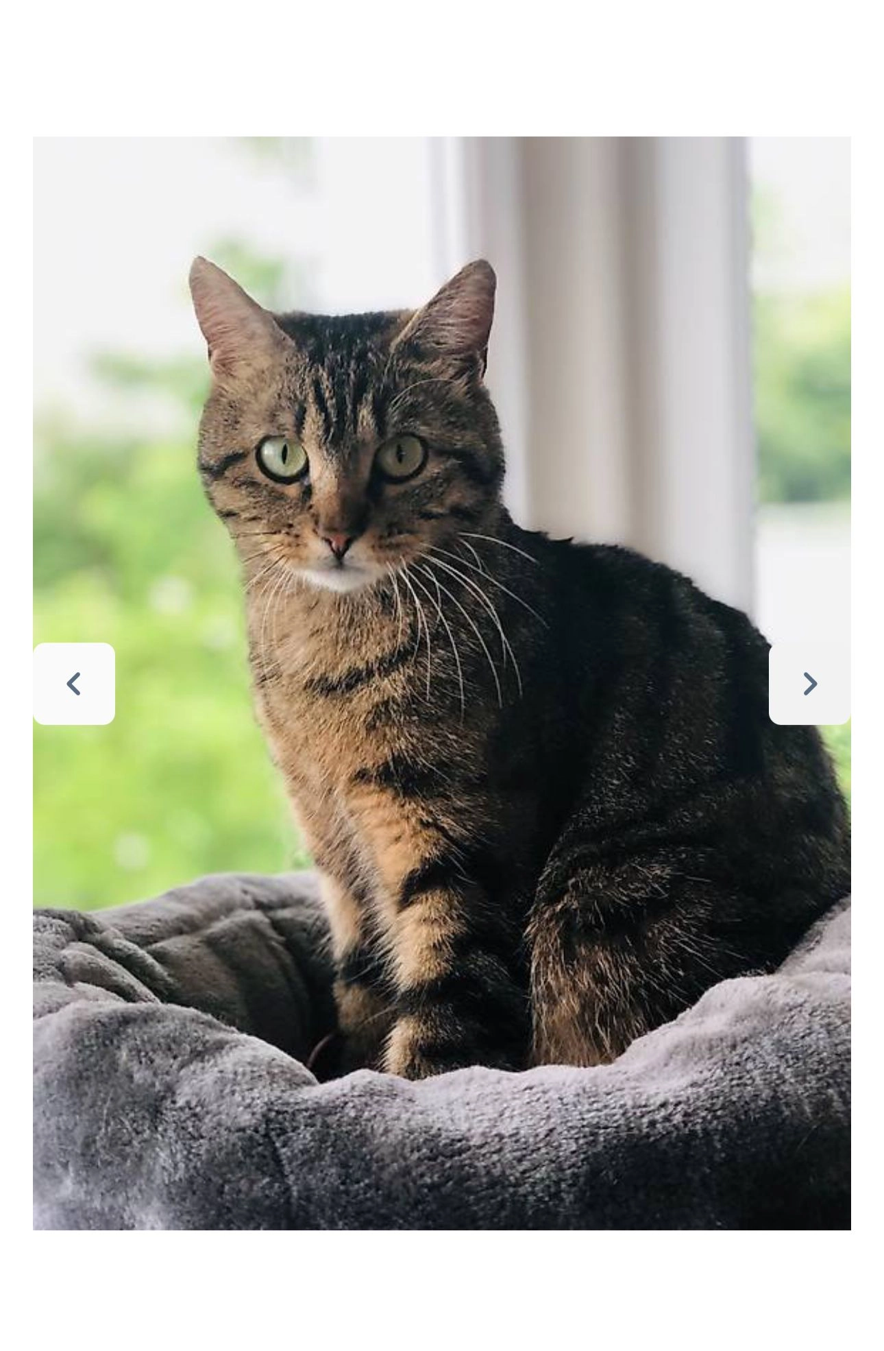 Lana  - Reismühlestrasse 13, Winterthur