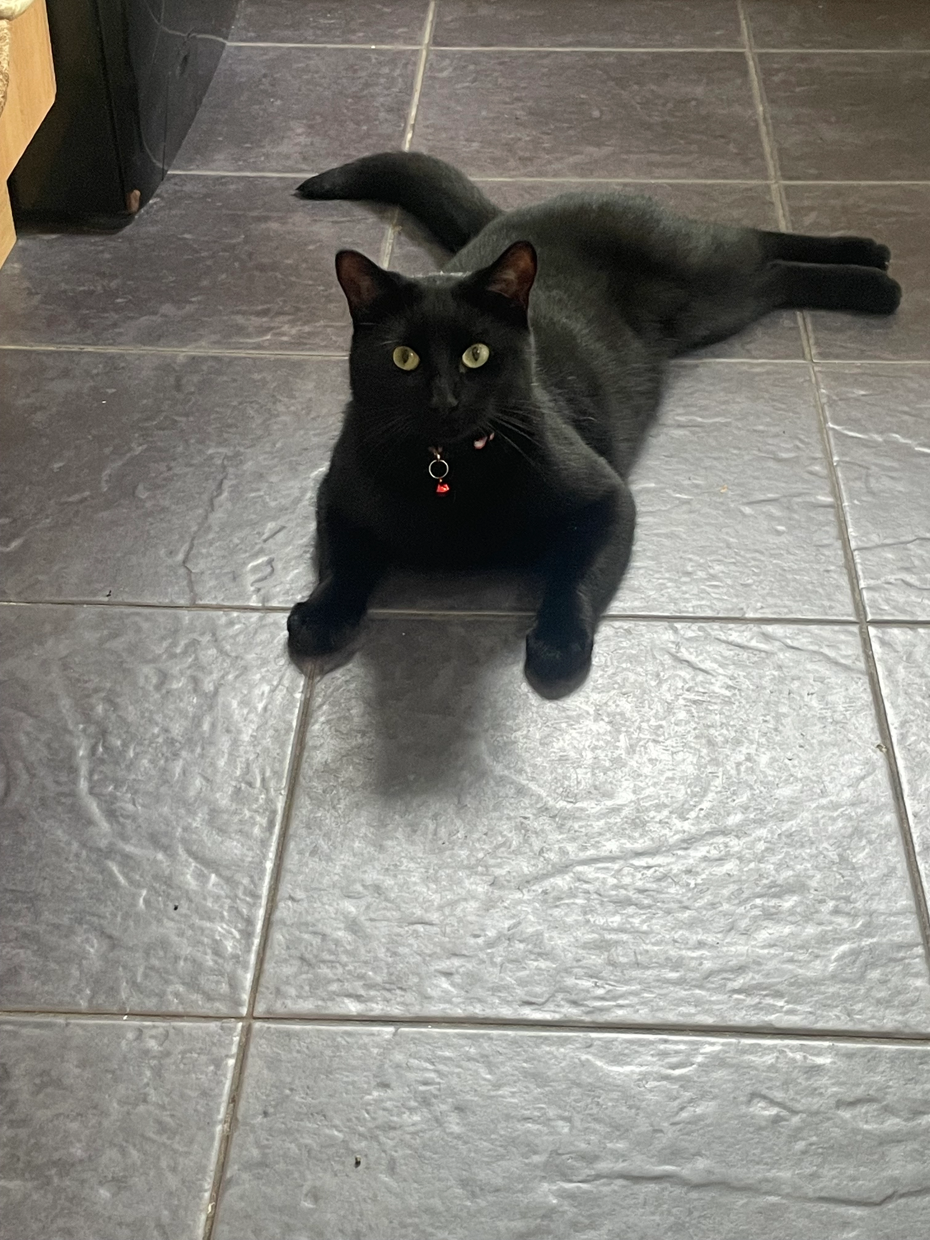 Kenny  - Sunnymede Park, Belfast