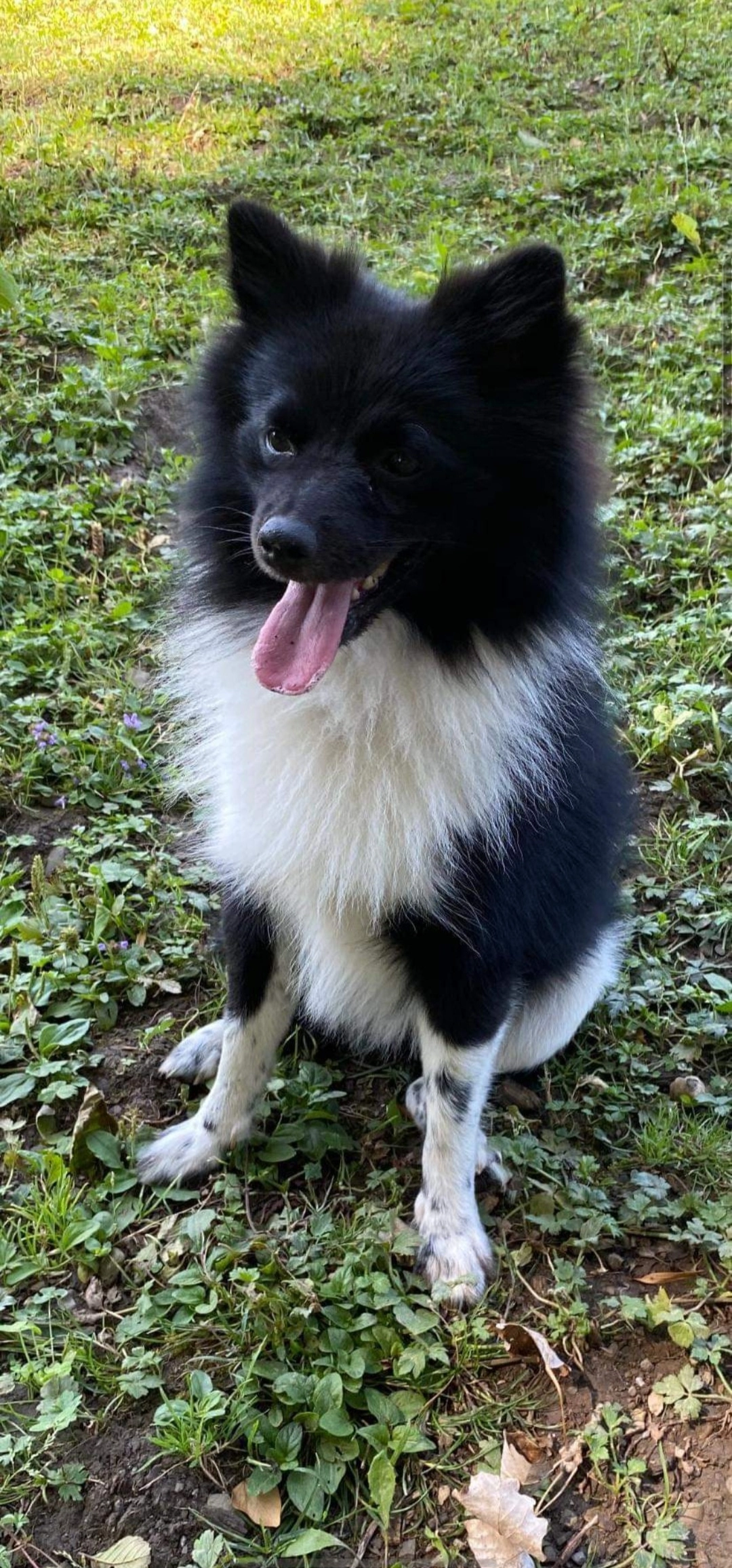 Cooky - Route de Forel, Puidoux