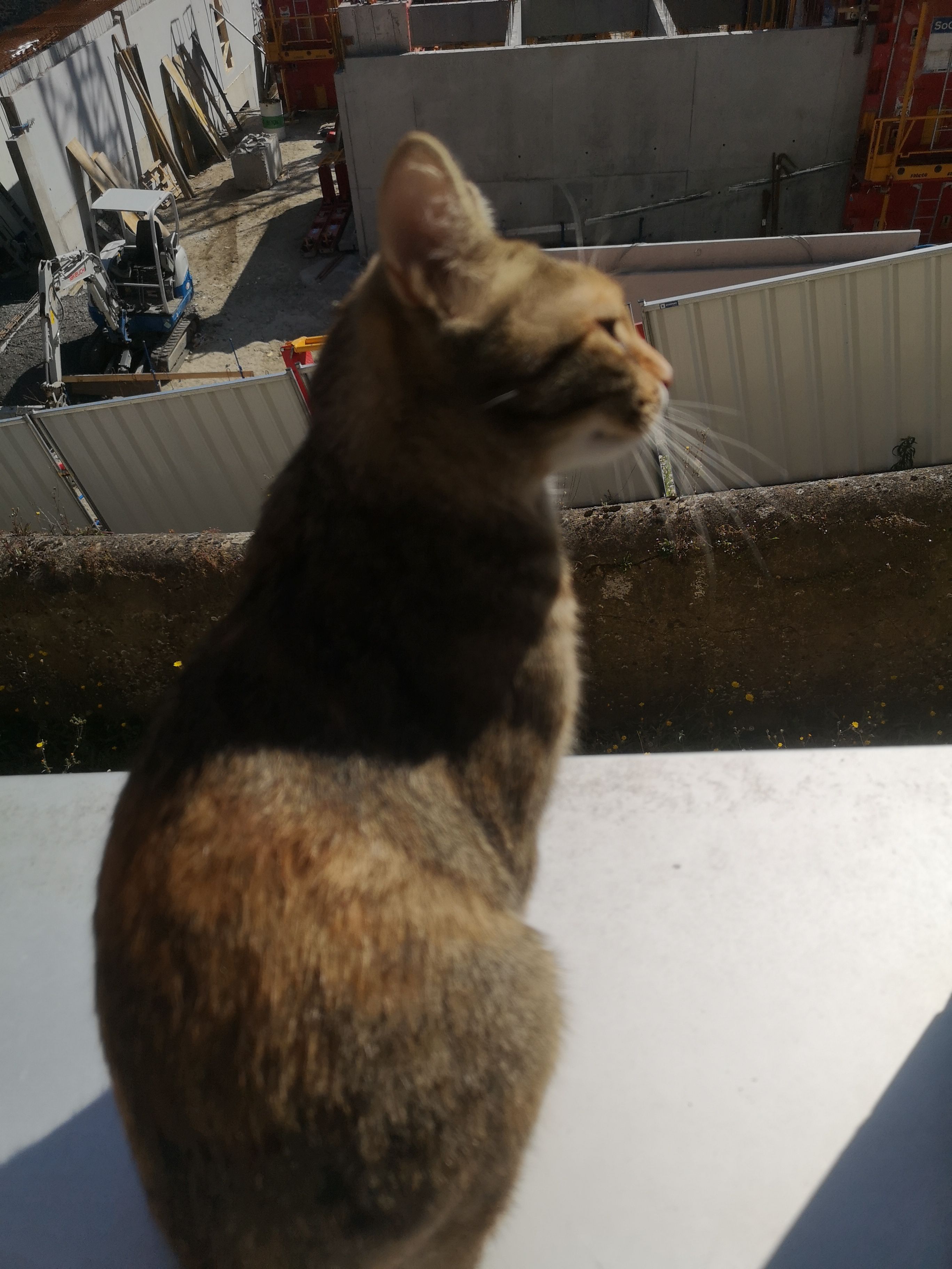 Automne  - 34B Boulevard Gambetta, Le Puy-en-Velay