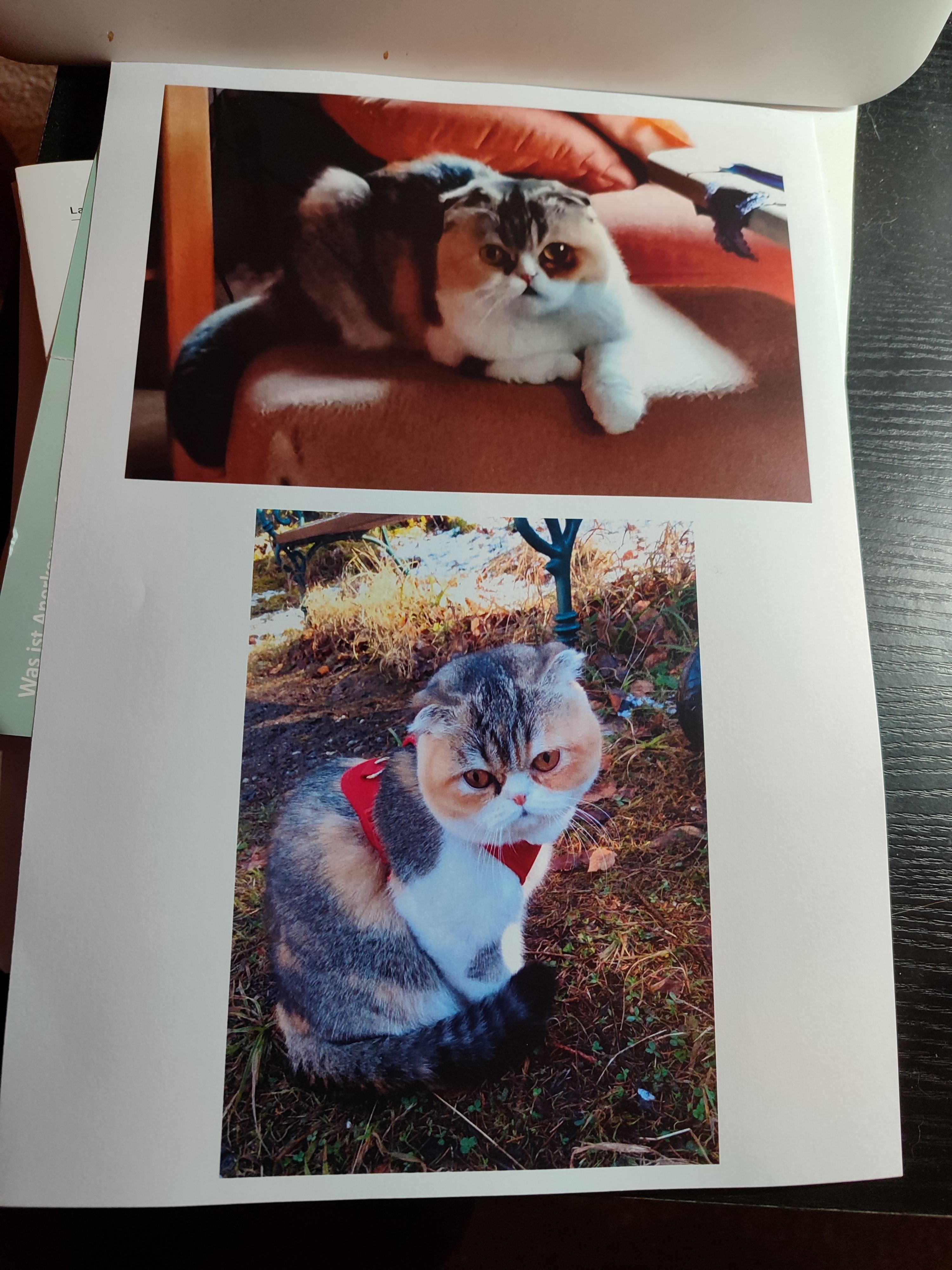 Katharina  - Walkertshofer Straße, Aichen