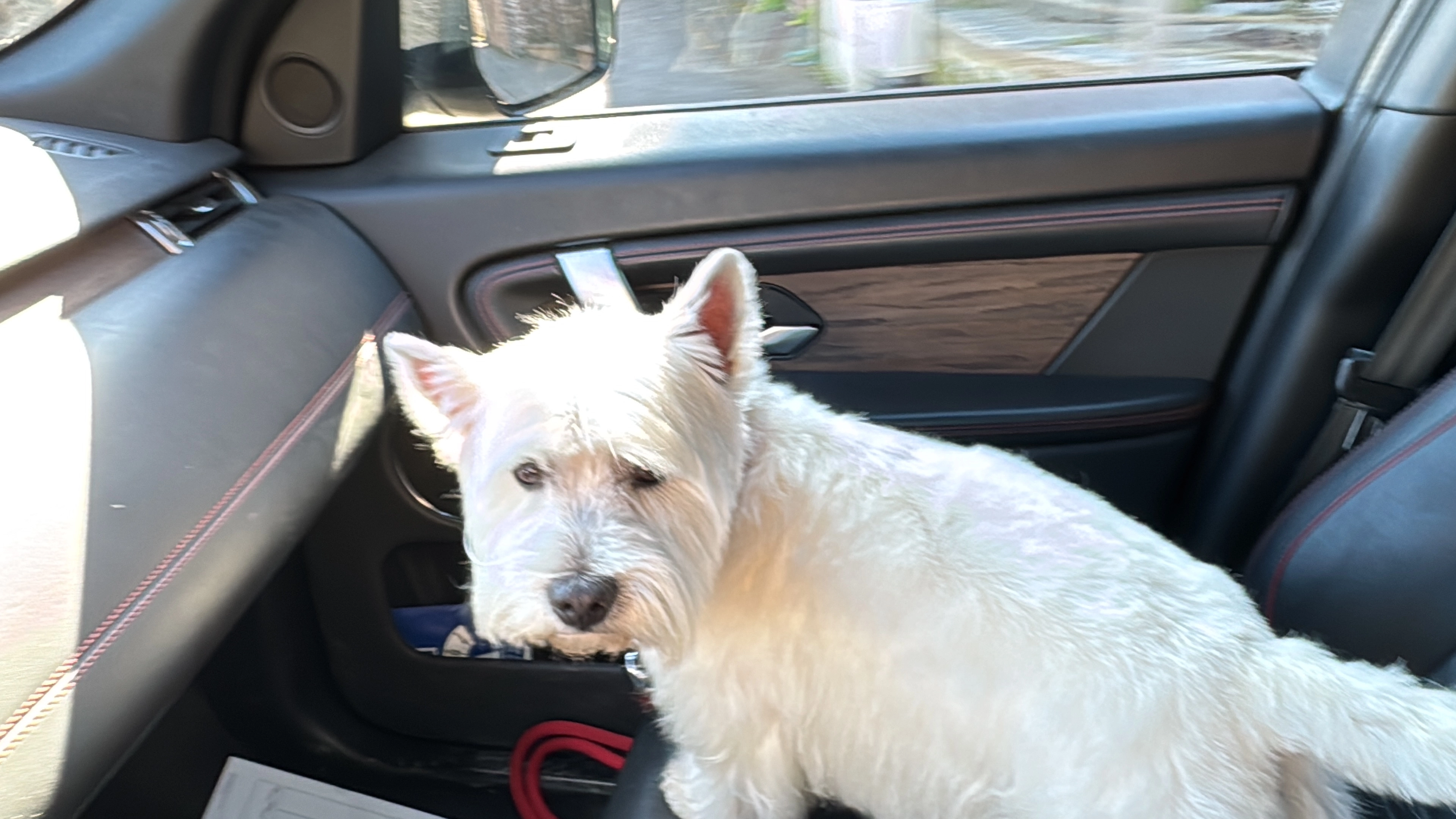 Fifty - Chemin de la Tayette, Lasne