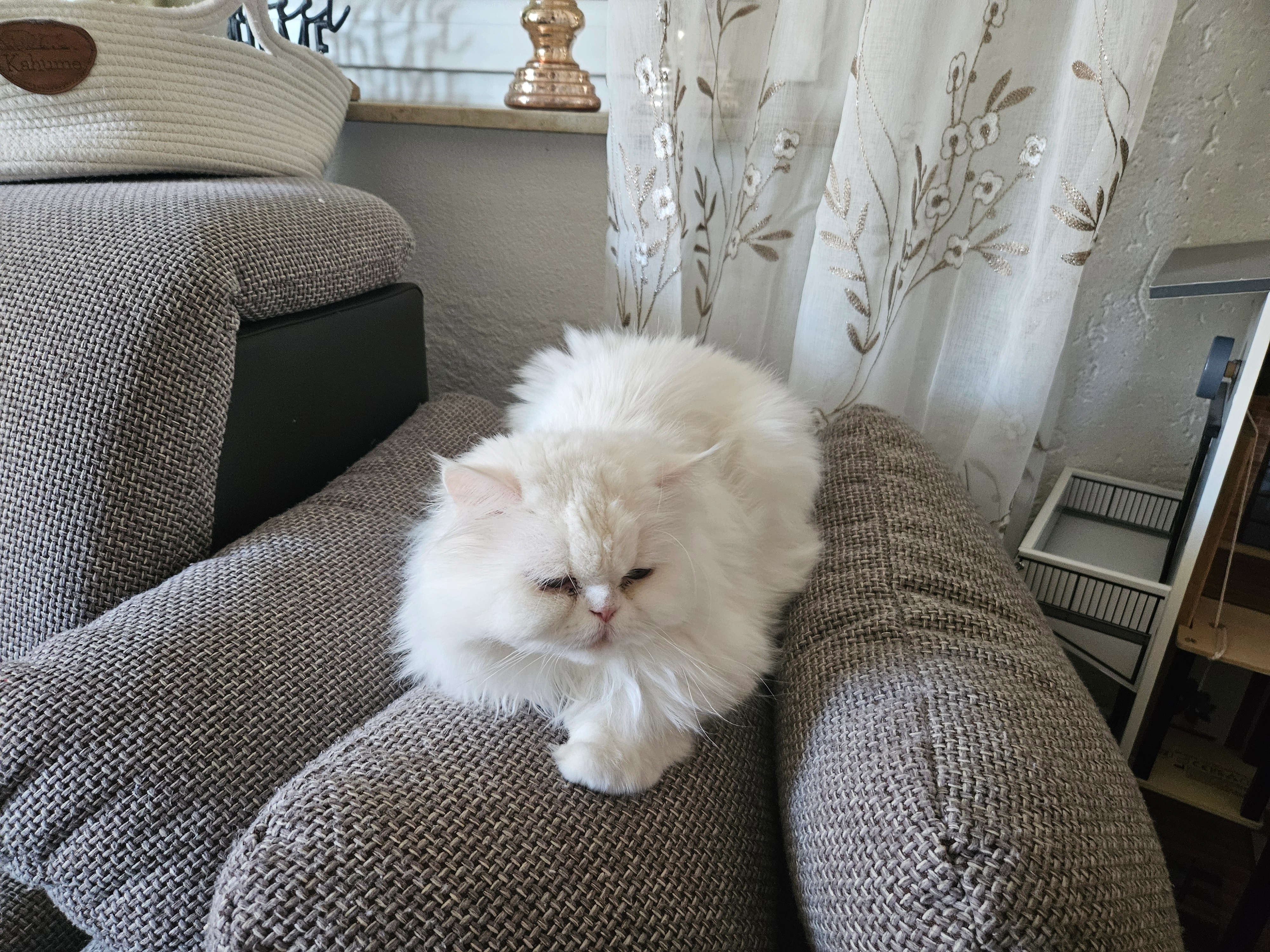 Emmi - Heimstraße, Asselfingen