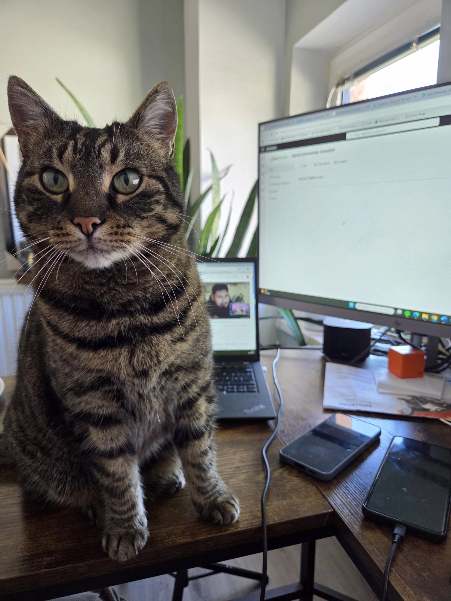 Goku - Kellerberg 3a, Altruppersdorf