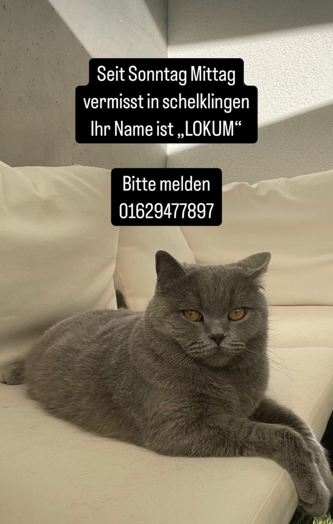 Lokum - Ehinger Straße, Schelklingen