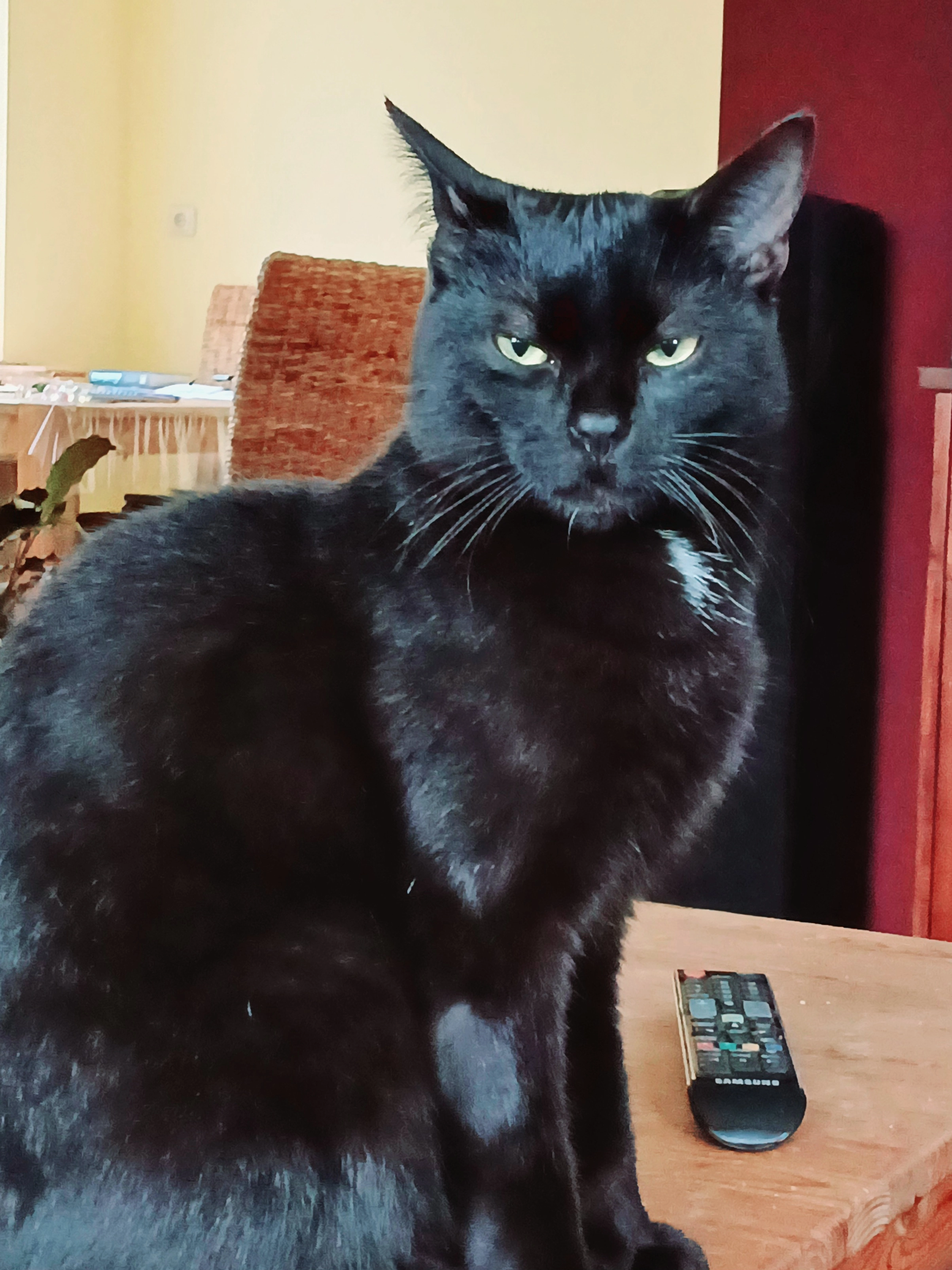 Jackson - Fröhstockheimer Weg, Mainbernheim