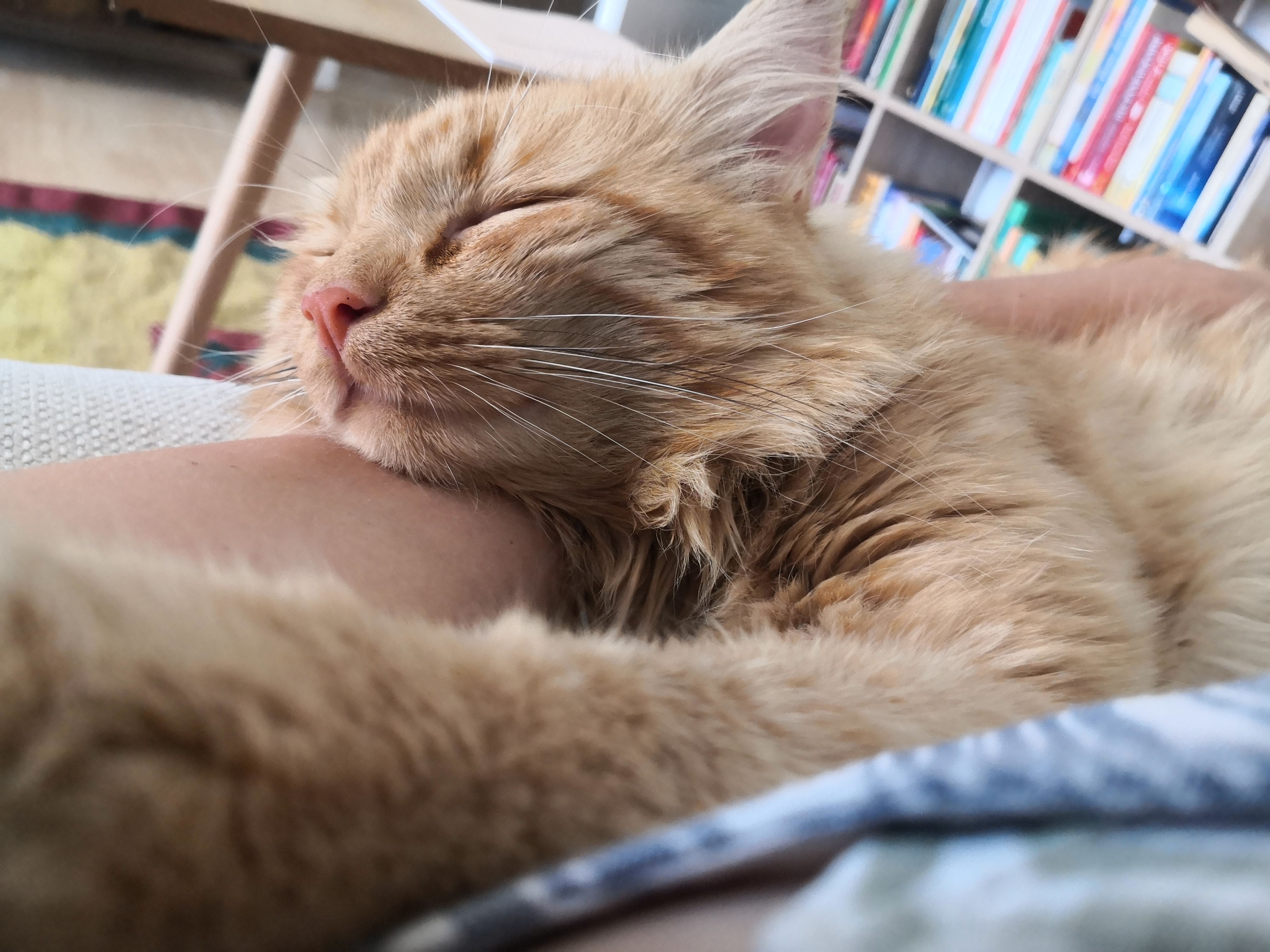 Jaro - Heimenhofenstraße, Sonthofen