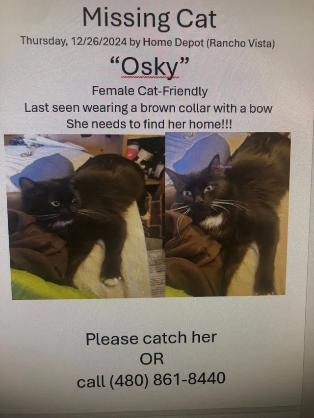 Osky - 442 W Rancho Vista Blvd, Palmdale