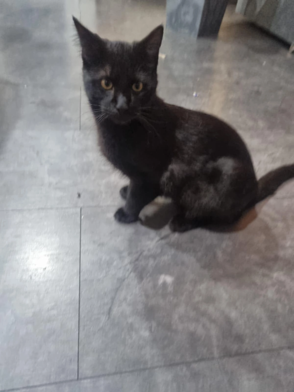 Lakritze - Am Spielplatz, Bocholt