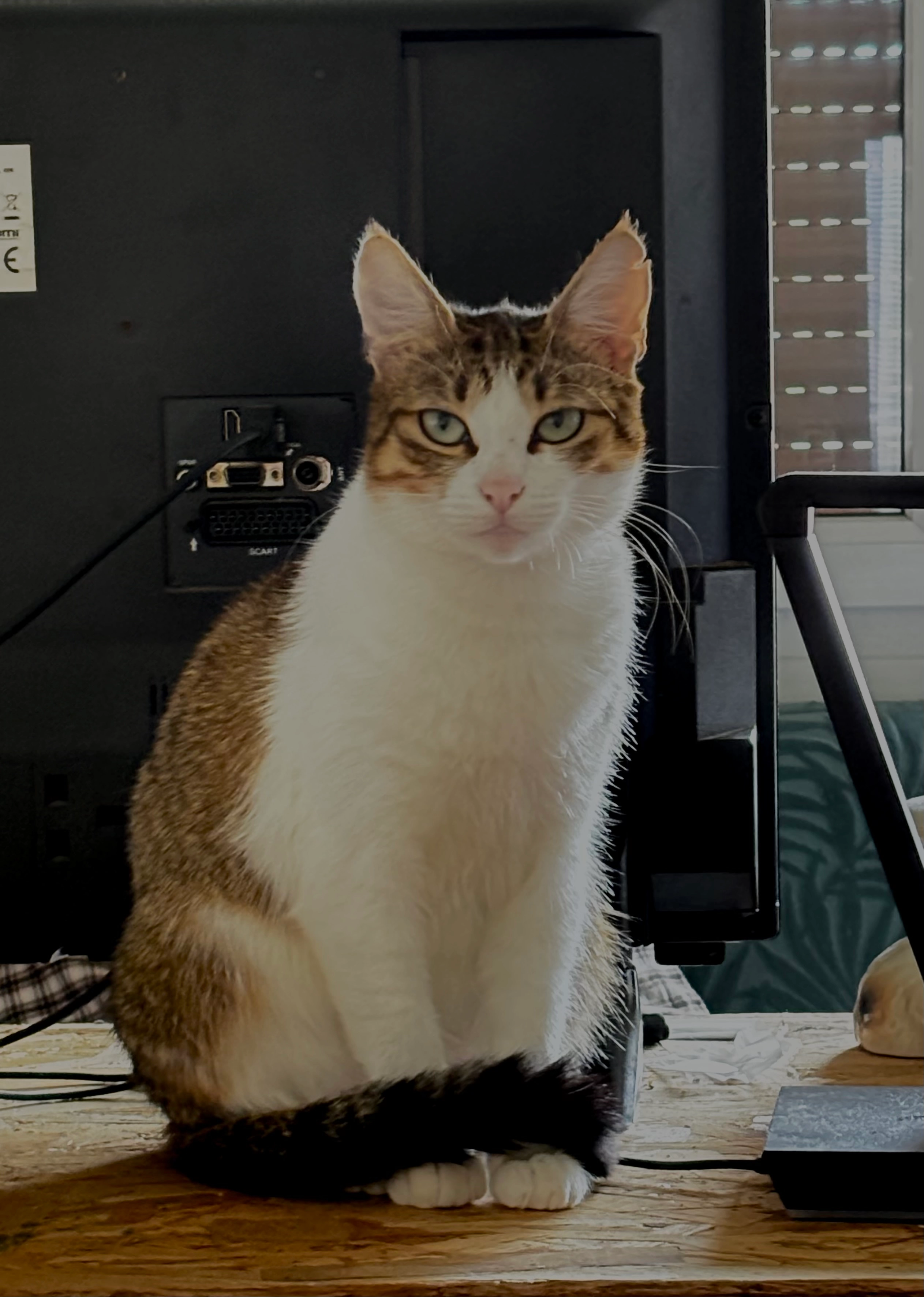 Bastet - 13 Chemin de Sarrières, Pontacq