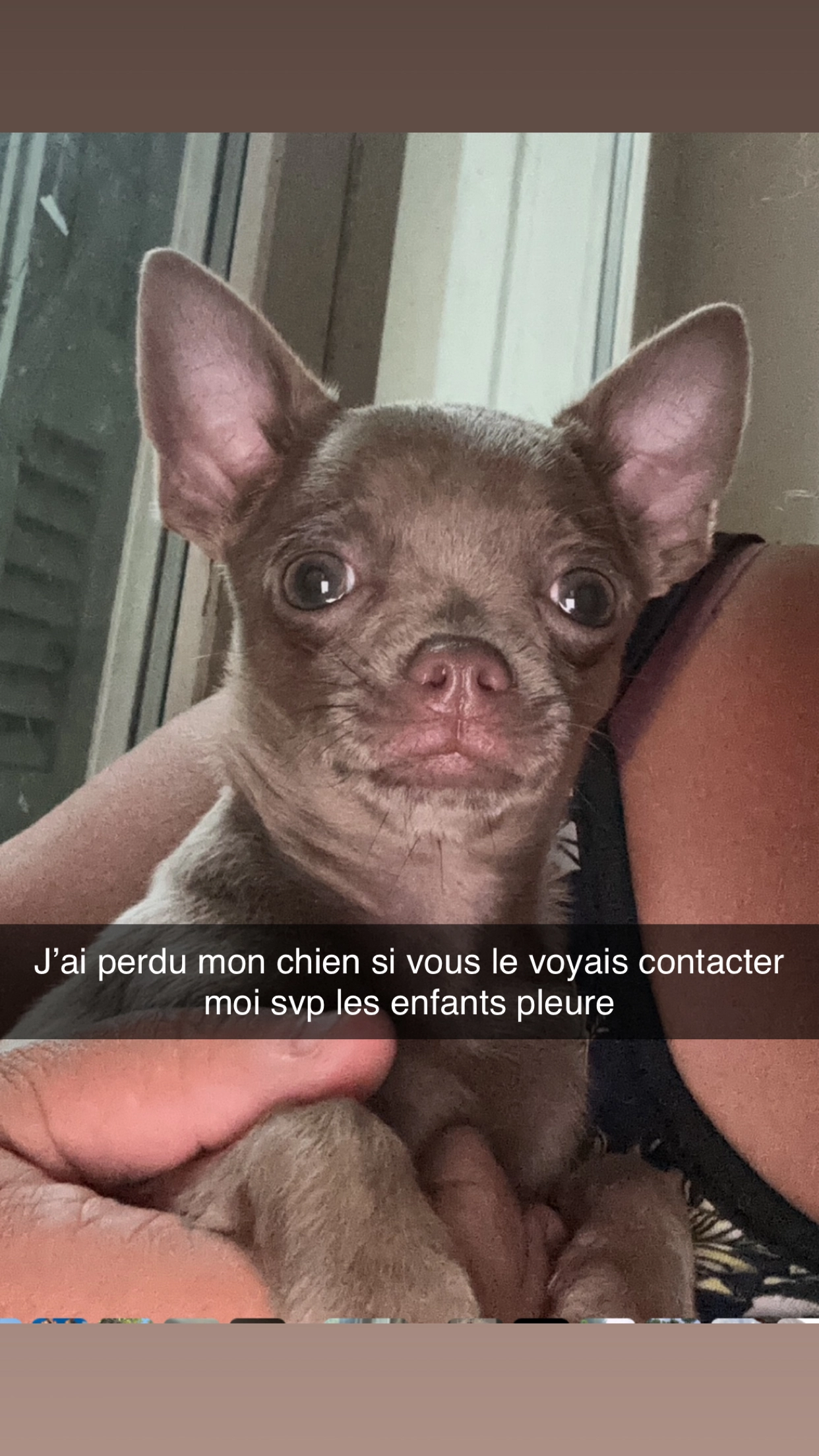 Cookie - Esplanade Méditerranée, Perpignan