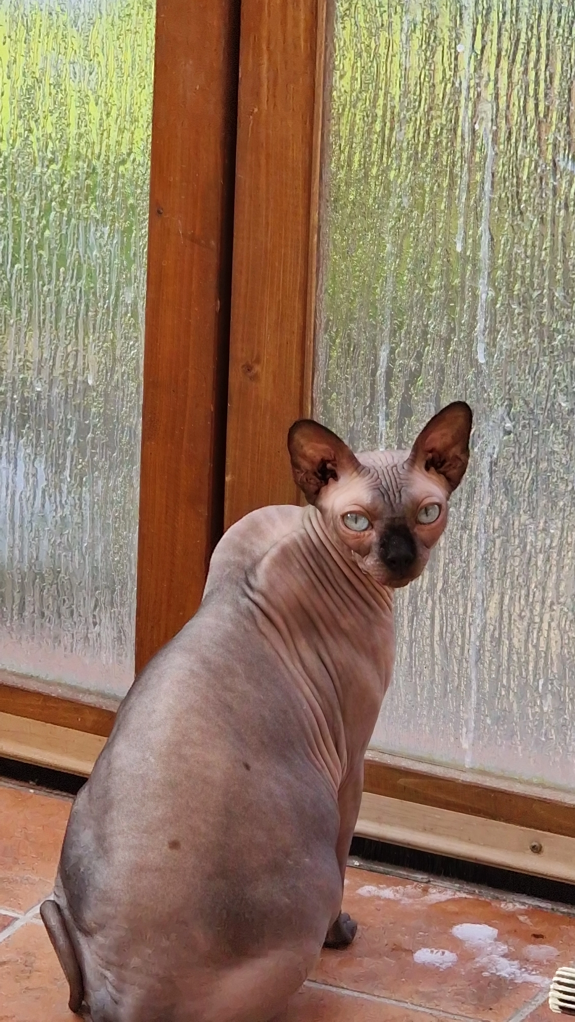 Vecna - Kolberger Straße, Hennef