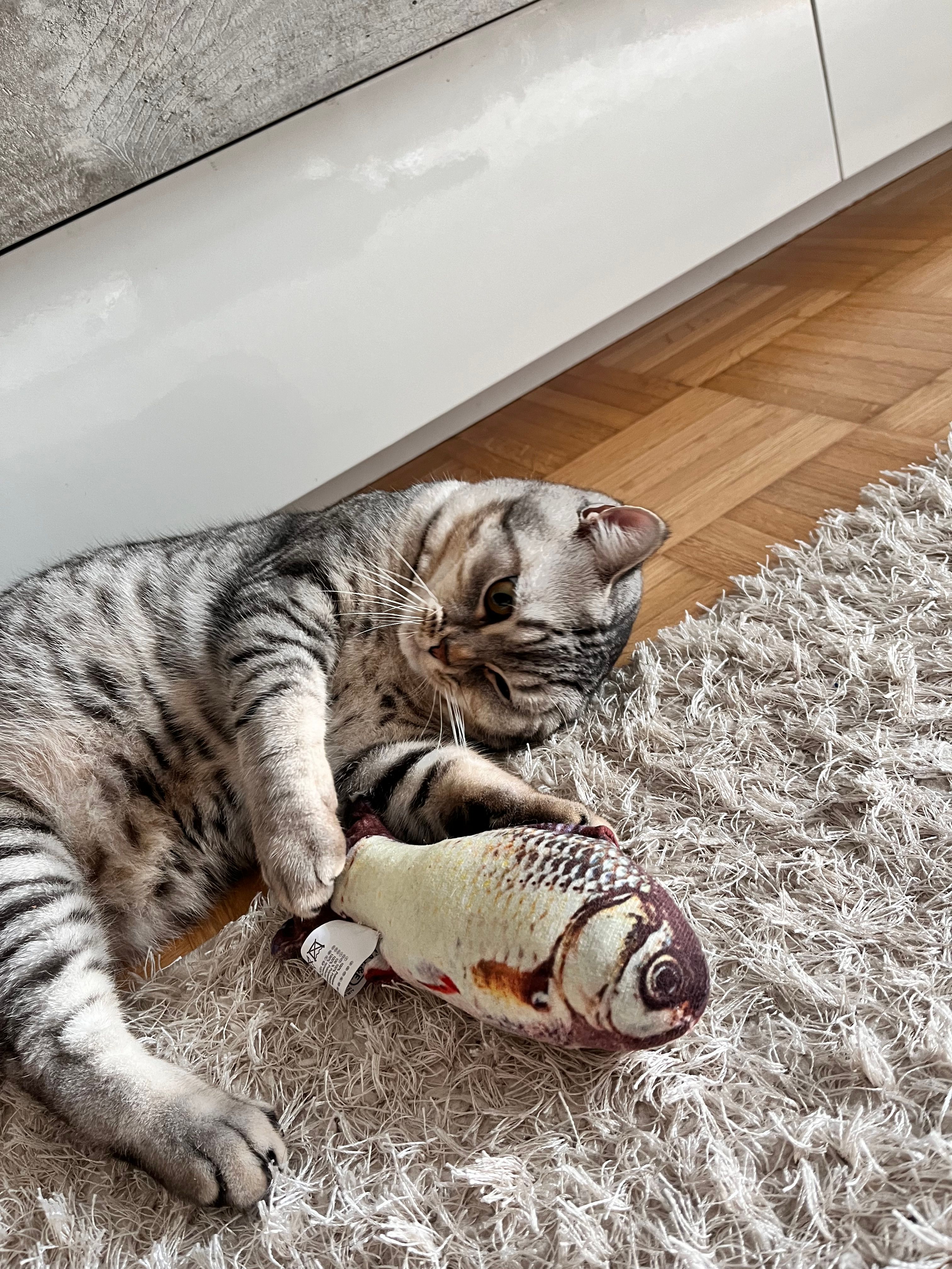 White - Brückenmühle, Wittlich