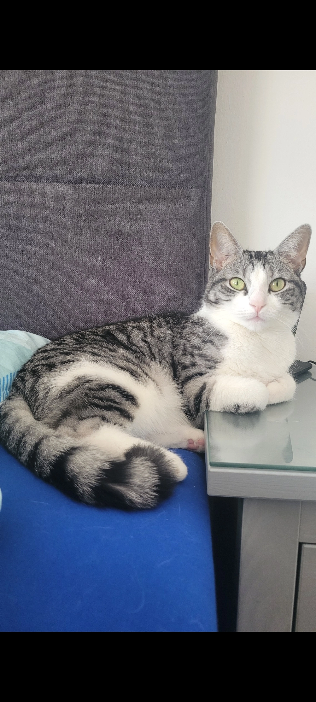 Fiona - Banderbacher Weg, Fürth