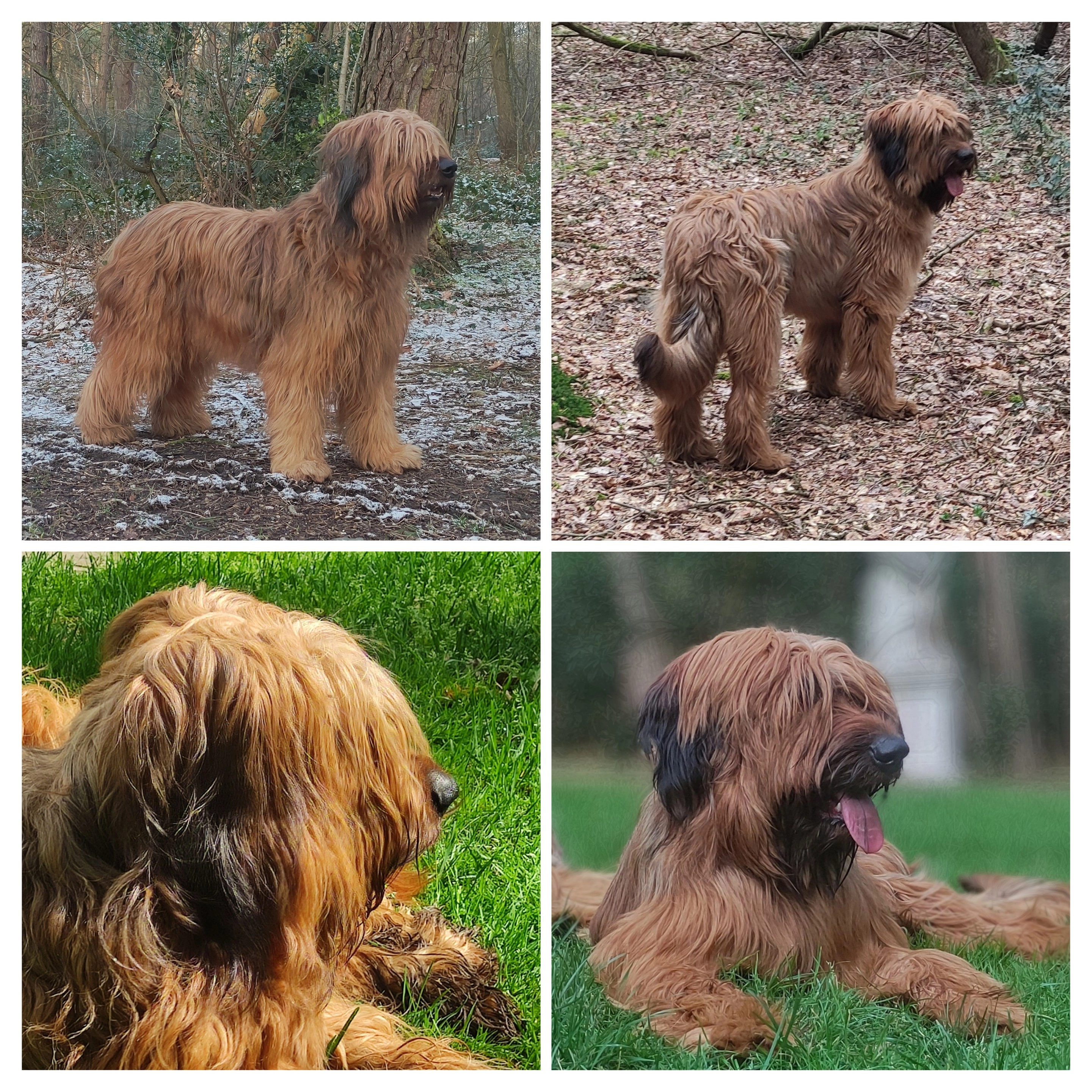 QueenBee & Xanne - Kennepstraat, Zutendaal