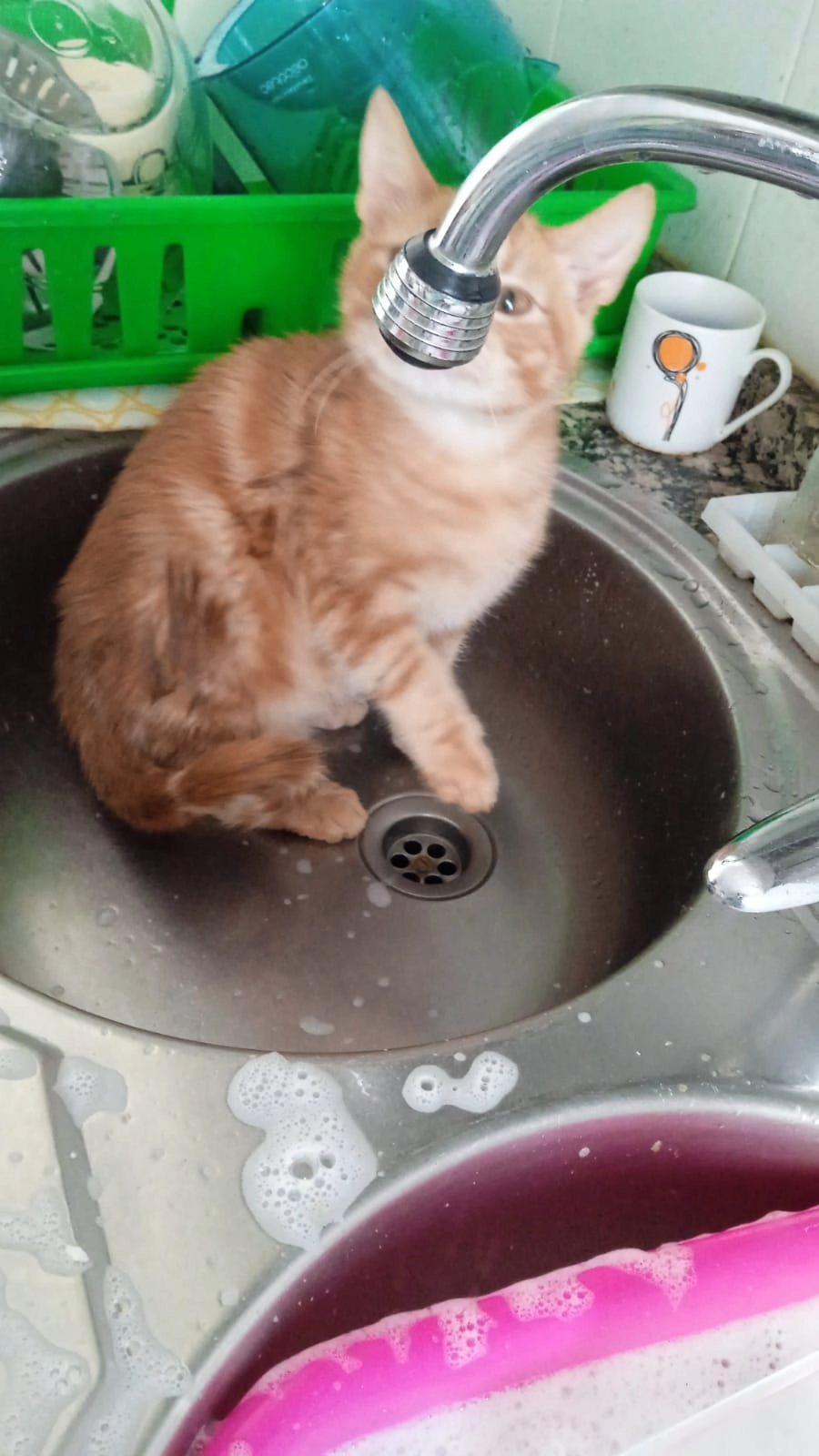 Calimocho - Calle Villareal, Écija