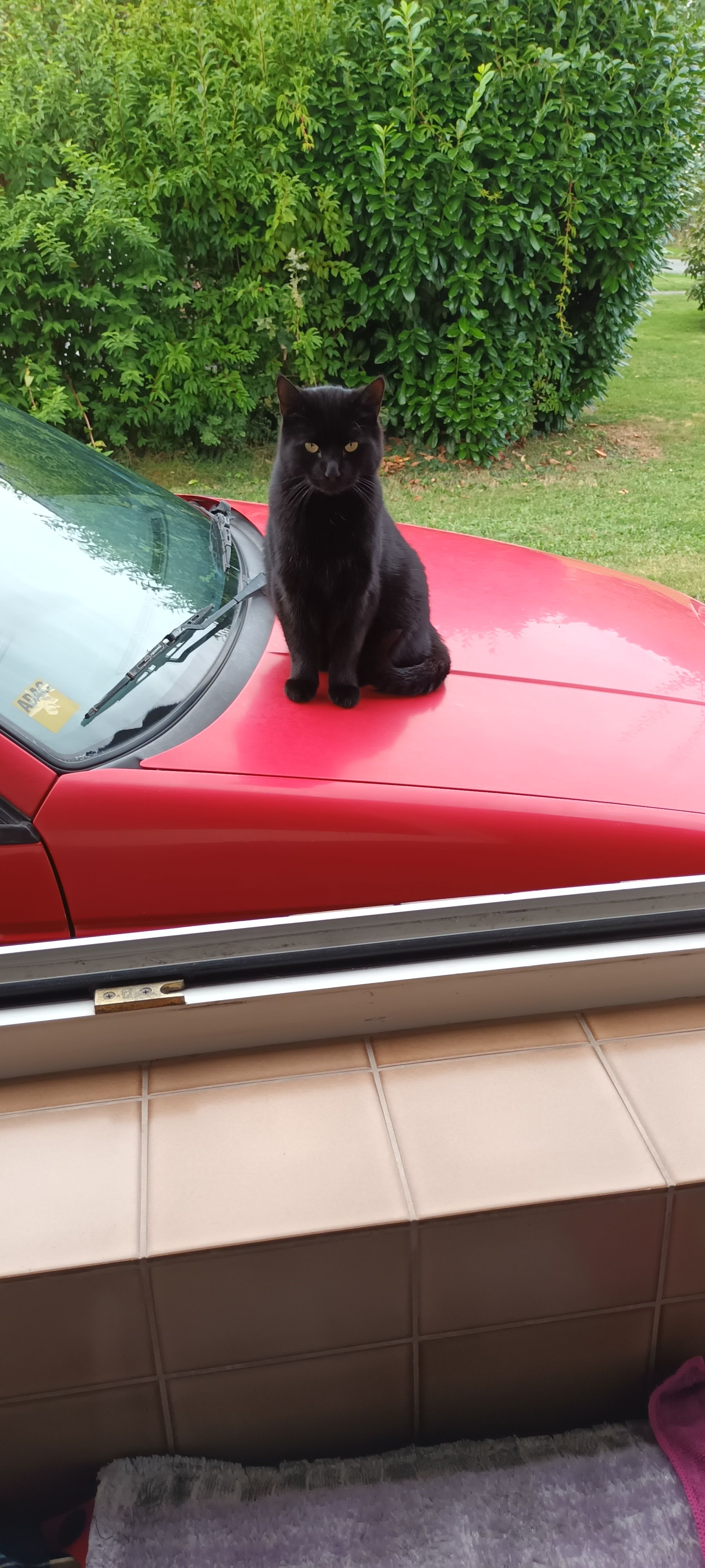 Salem - Tannenkamp, Gyhum