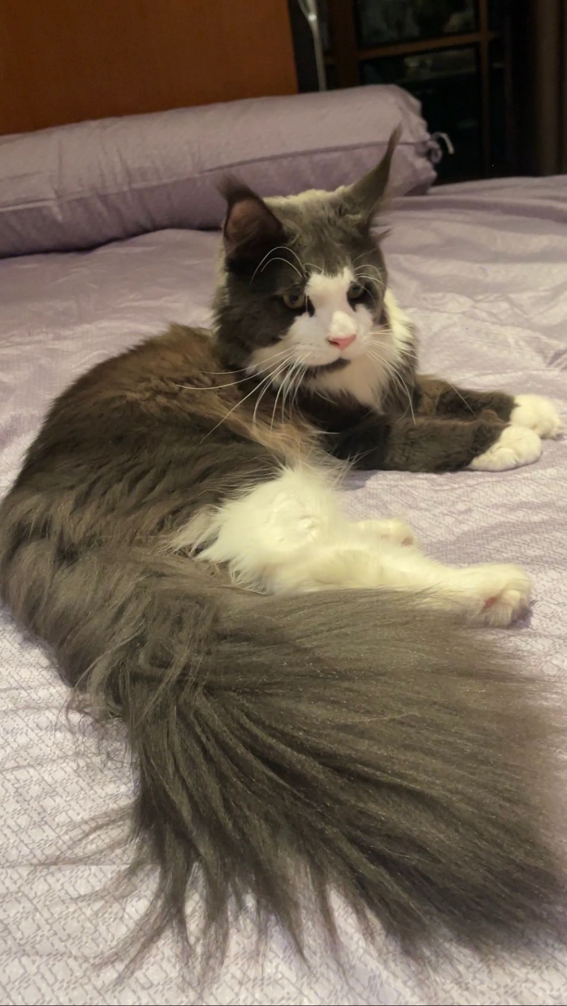 Handsome - ซอย 7, Pattaya