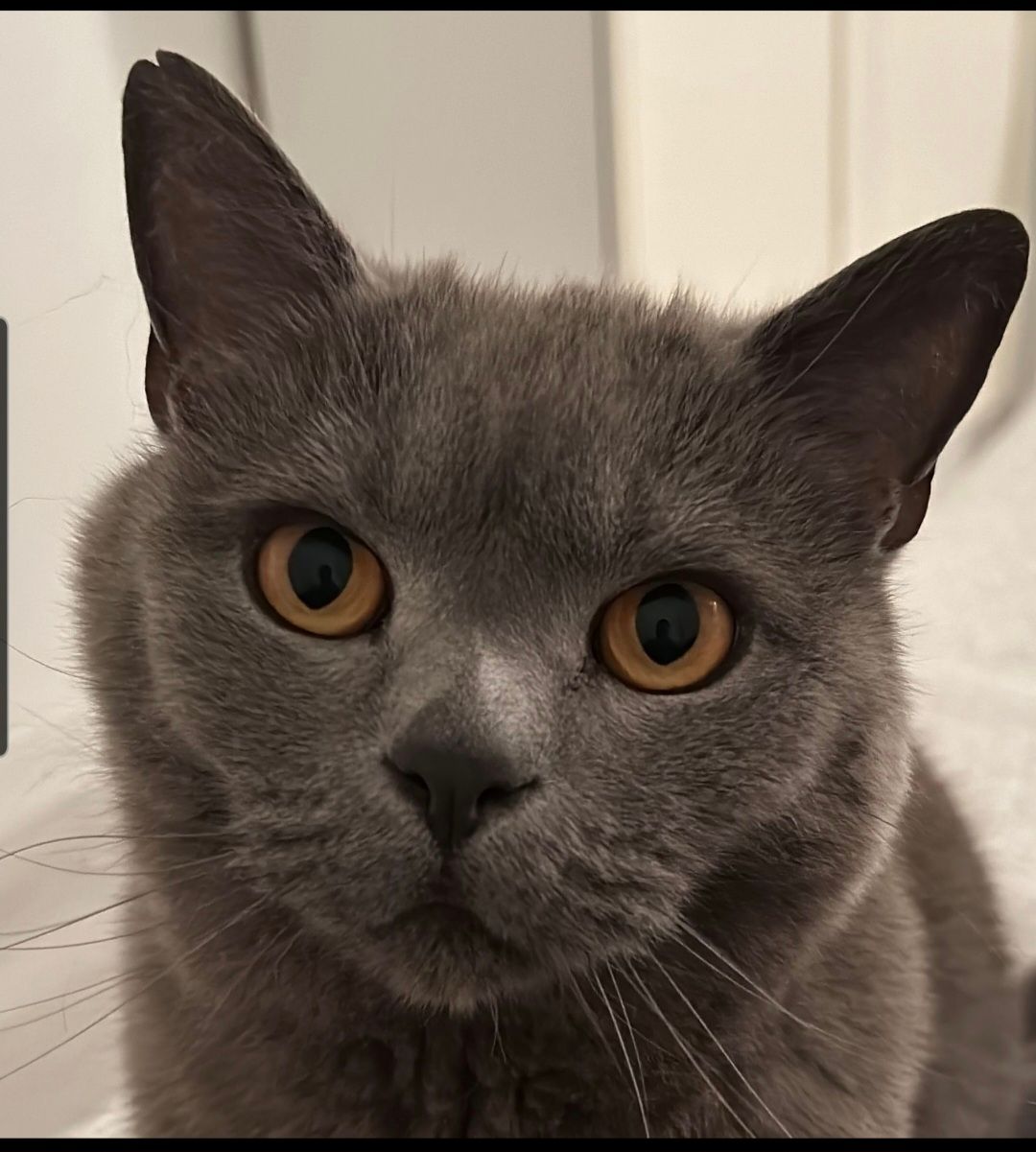 Blue - Möllner Straße, Trittau