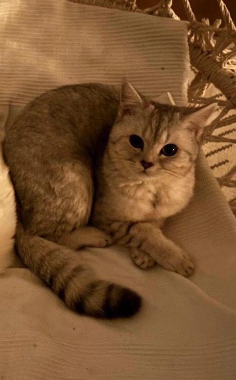 Nura - Schleißheimer Straße, Dachau