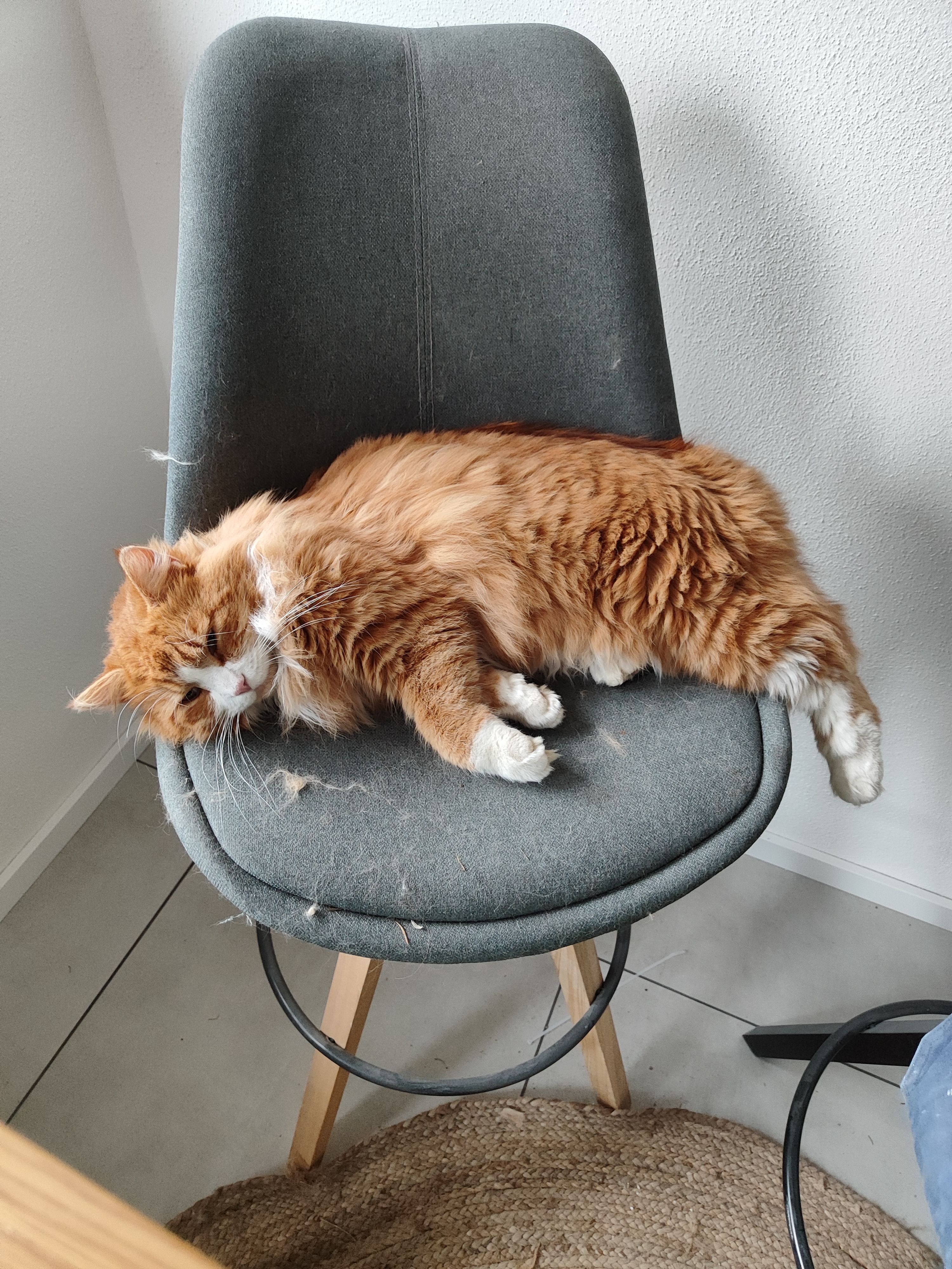 Gizmo - Im Thauen, Häusern