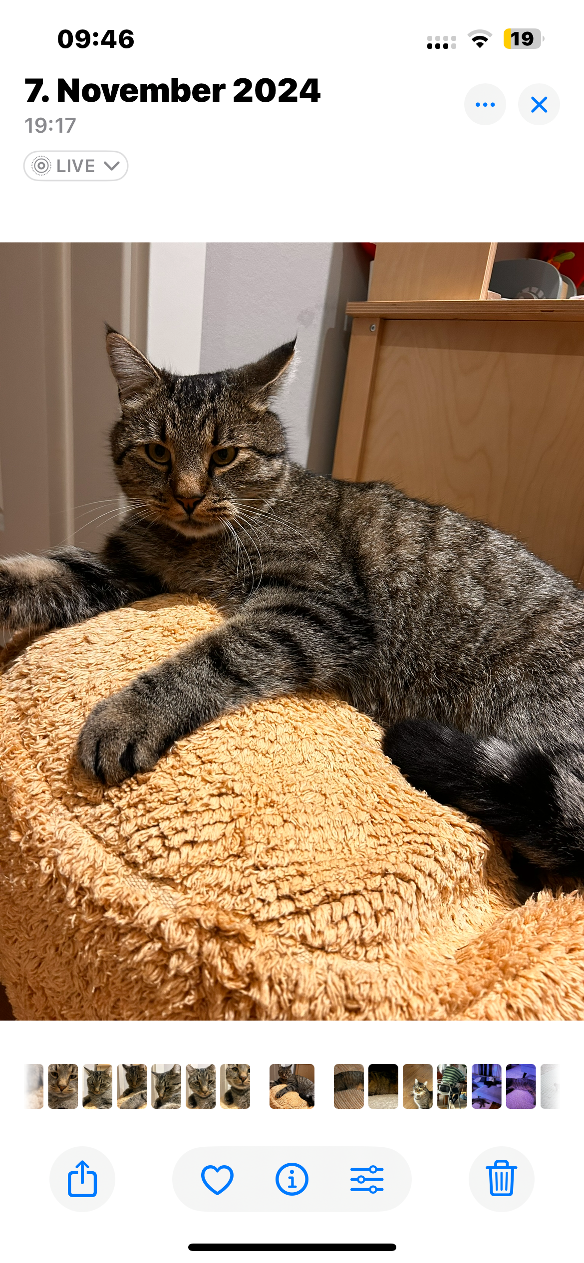 Minky - Steinfelde, Seehausen