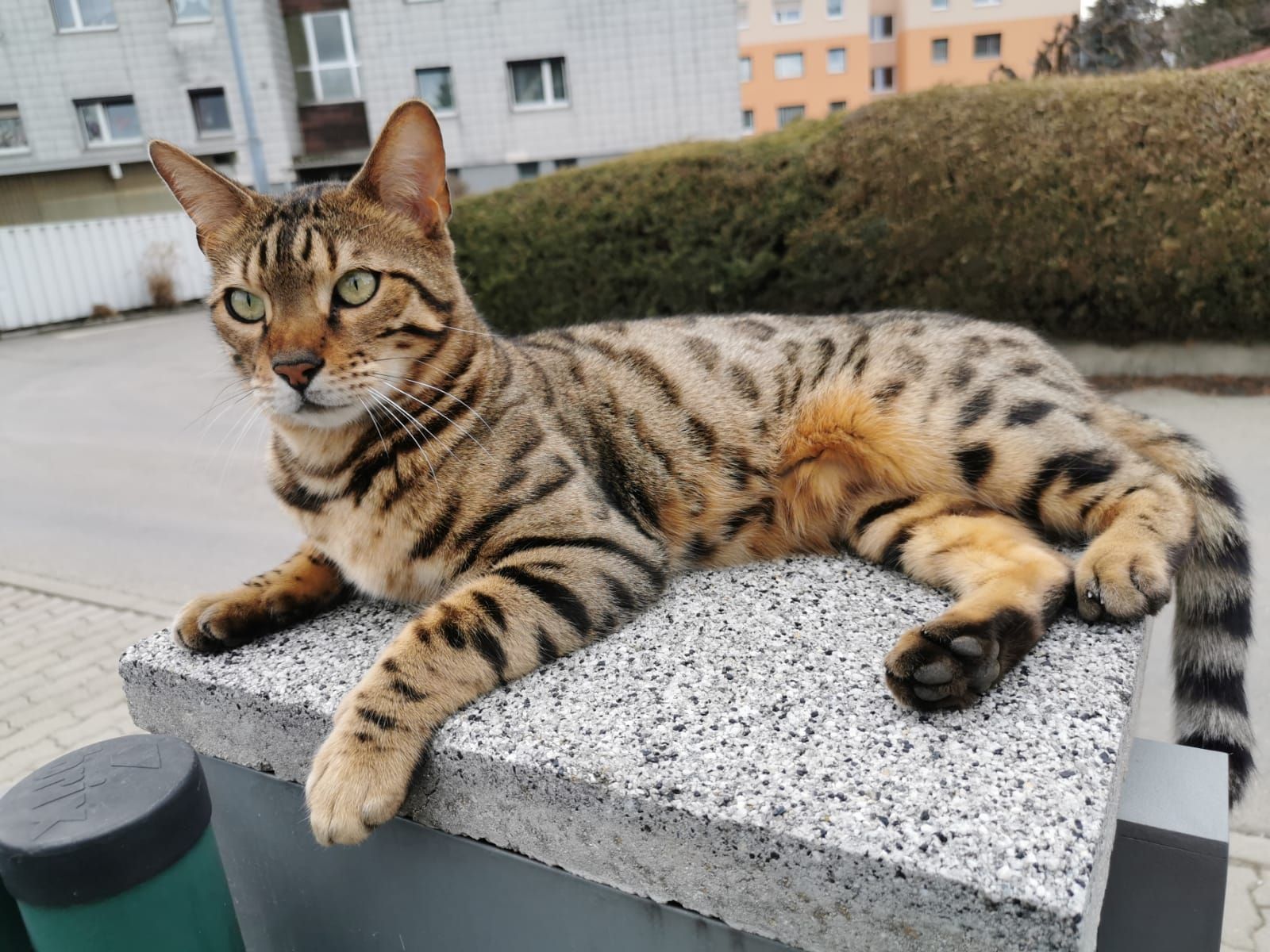 Mailo - 8720, Knittelfeld