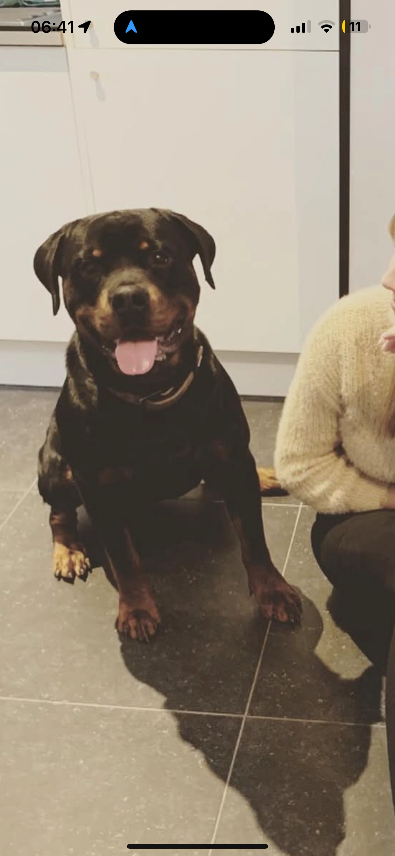 Max - Paul Jansonstraat, Menen