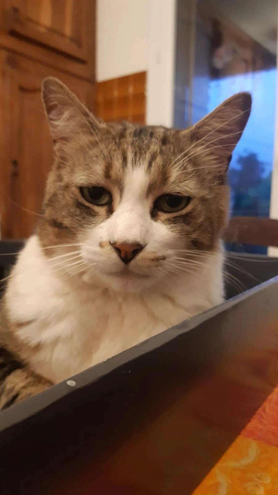 Otis - Place Du Four, Sorèze