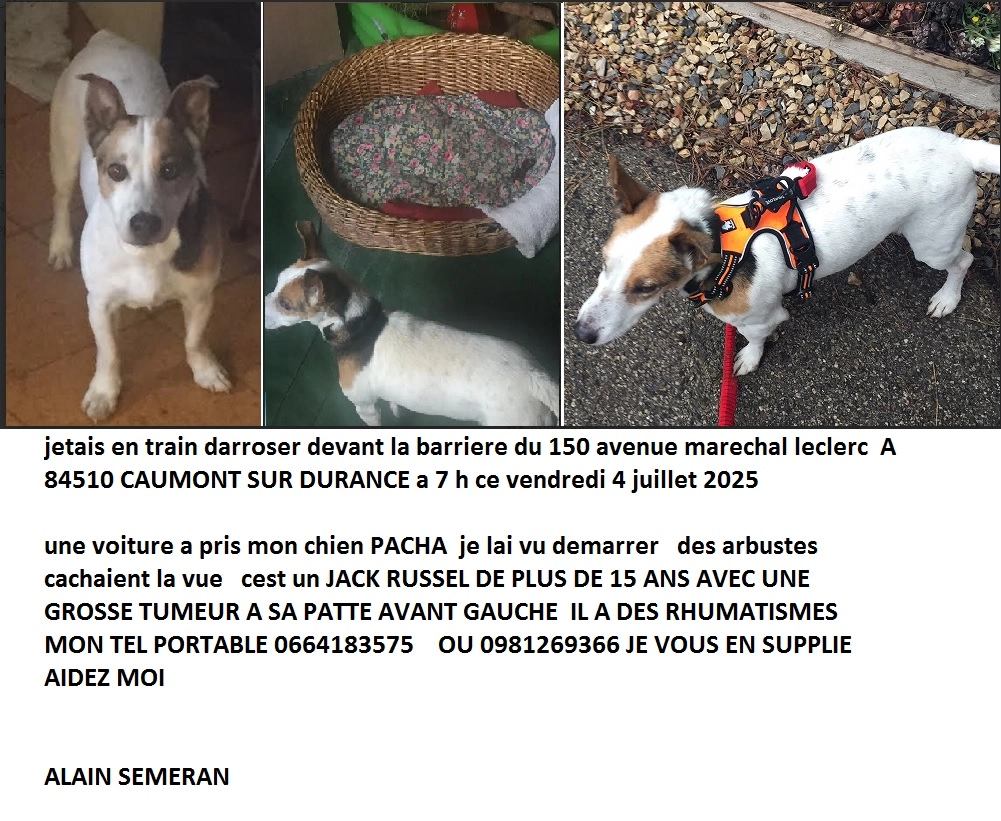 pacha - 150 Avenue Maréchal Leclerc, Caumont-sur-Durance