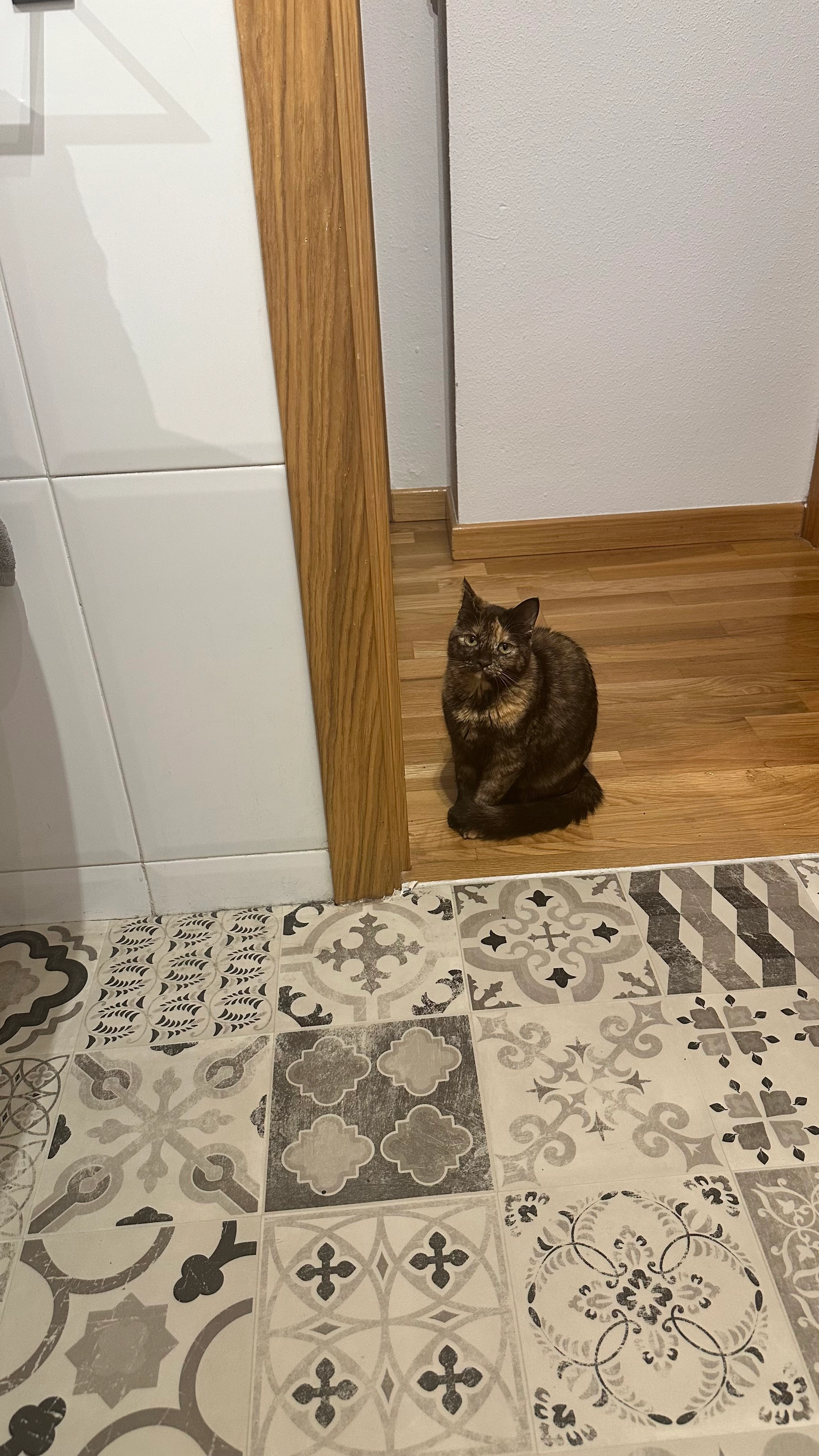 Ali - Ronda De La Plazuela, Las Rozas de Madrid