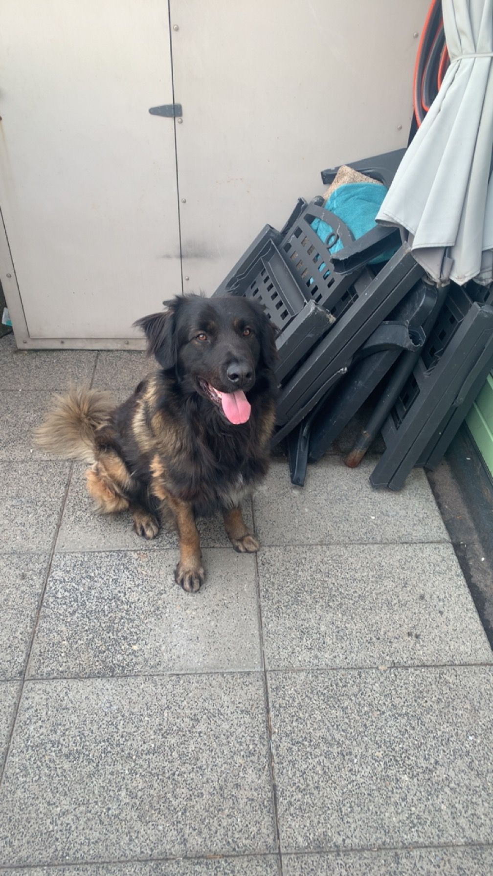 Unai - Rigoletto, Capelle aan den IJssel