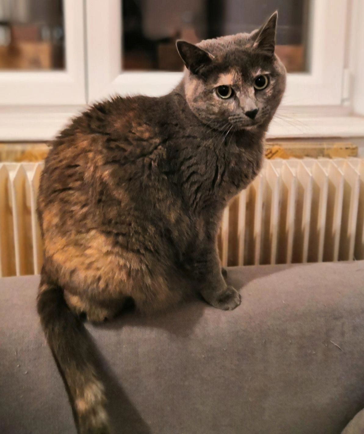 Eclipse - Rue Ernest Albert, Laxou