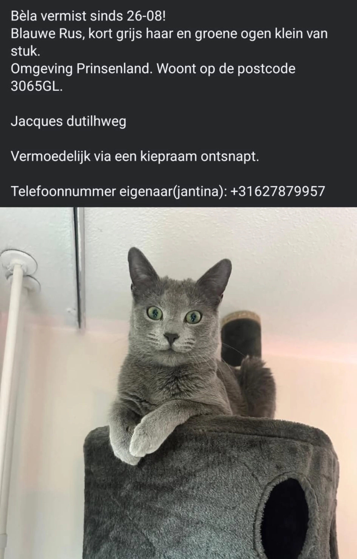 Bela  - Jacques Dutilhweg, Rotterdam