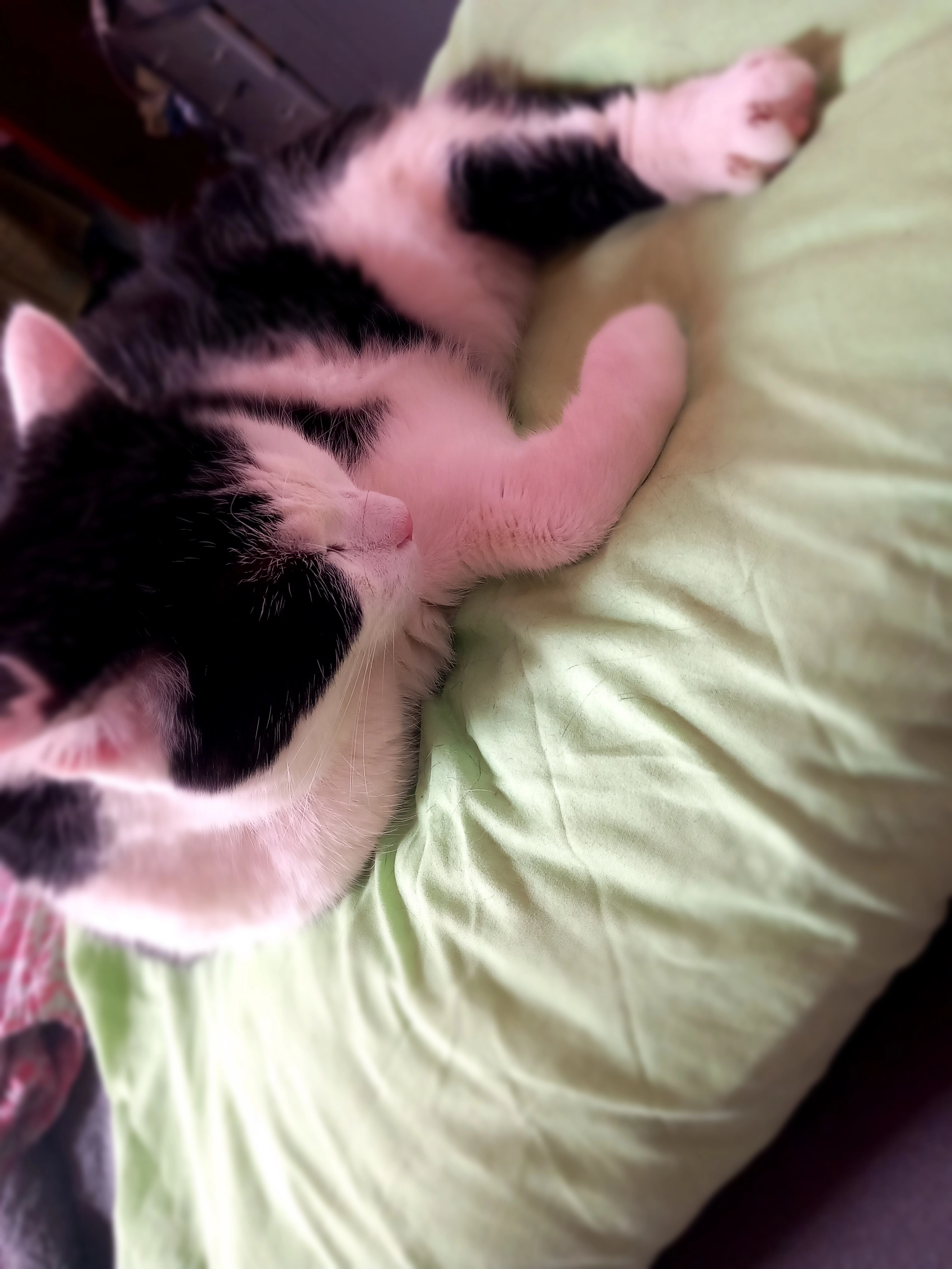 Sisi - Weinstraße, Kallstadt