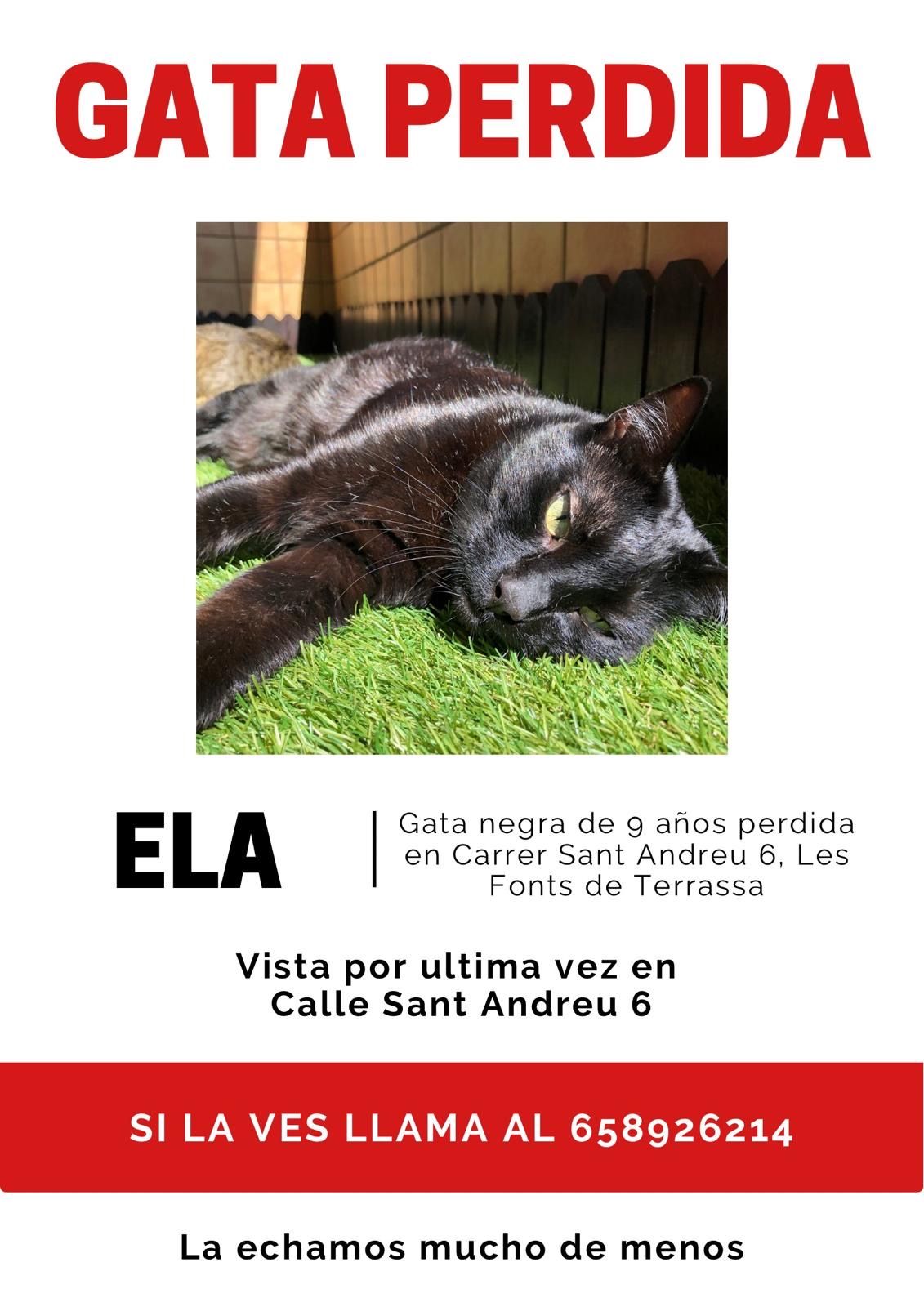 Ela - Carrer De Sant Andreu, Terrassa