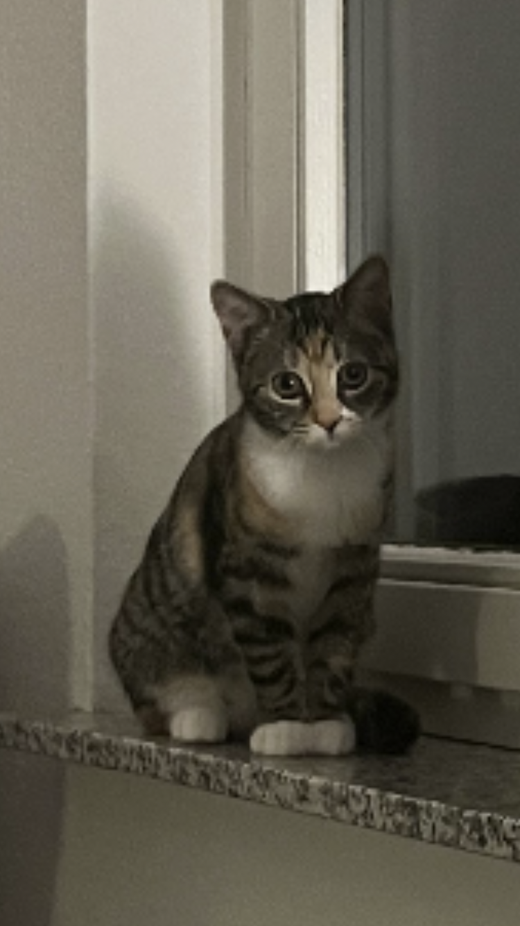 Aruna - Gereuthaustraße, Lichtenstein