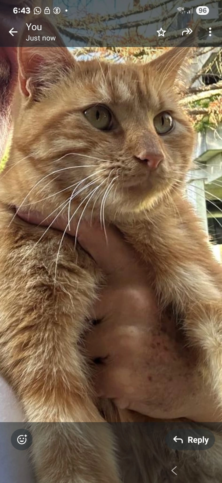 Tupac - Avenue Des Mousquines, Lausanne