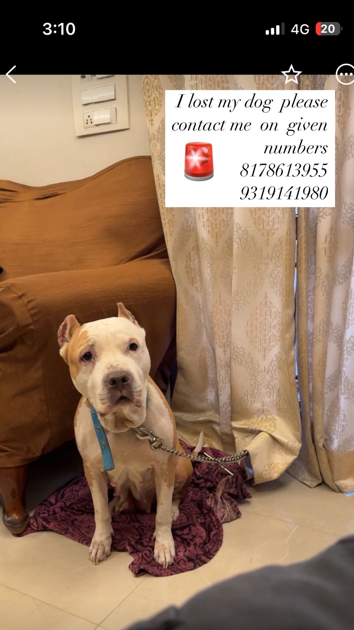 annie - Lala Ganesh Das Khatri Road, New Delhi