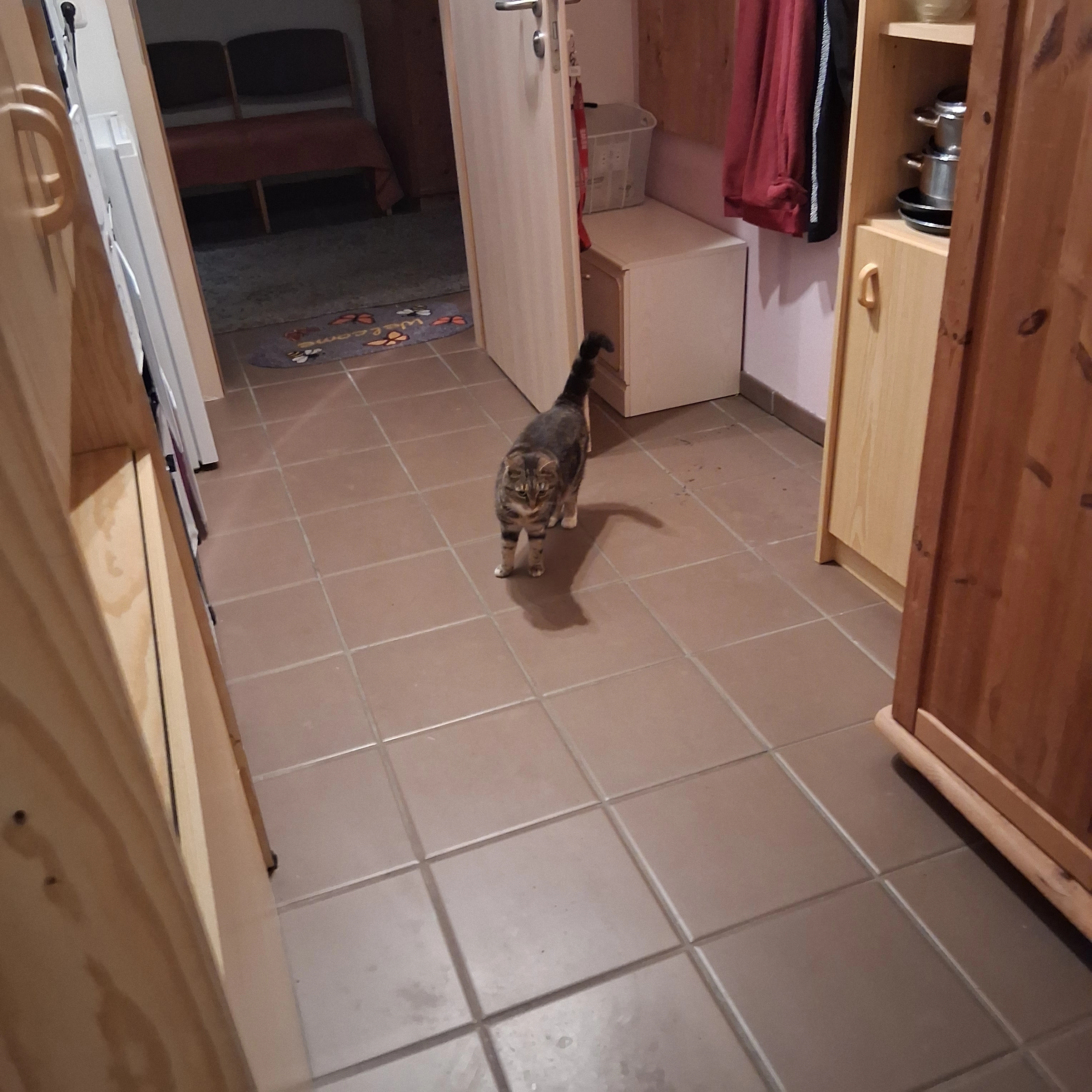 Spike - Pfäffleinsgäßchen, Rothenburg ob der Tauber