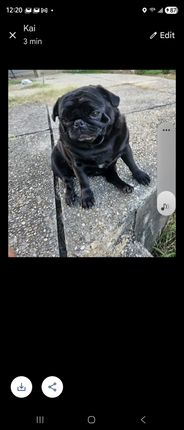 Ruby - 414 Irvington Dr , San Antonio