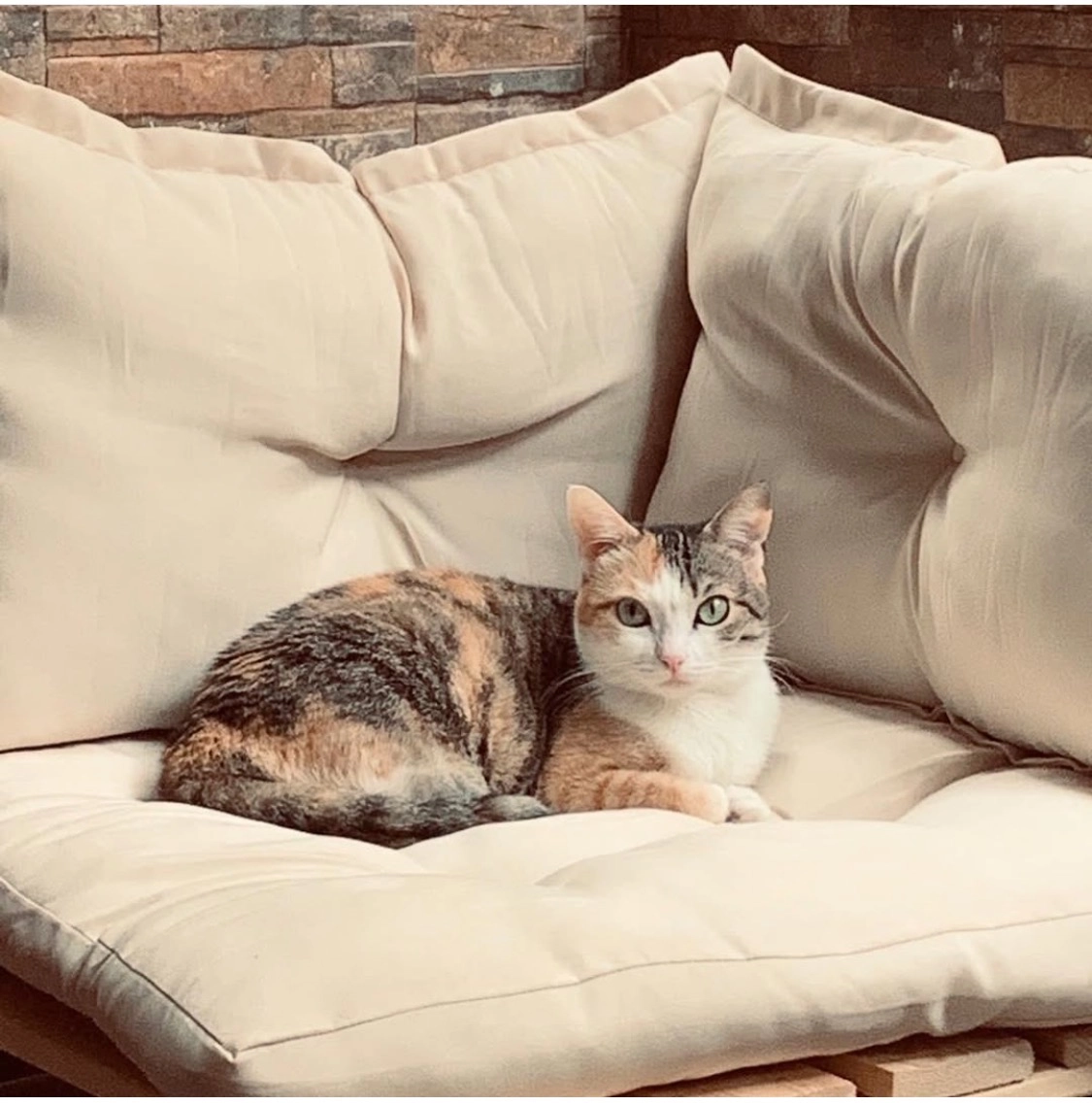 Viky - Calle de los Chopos 1, Córdoba