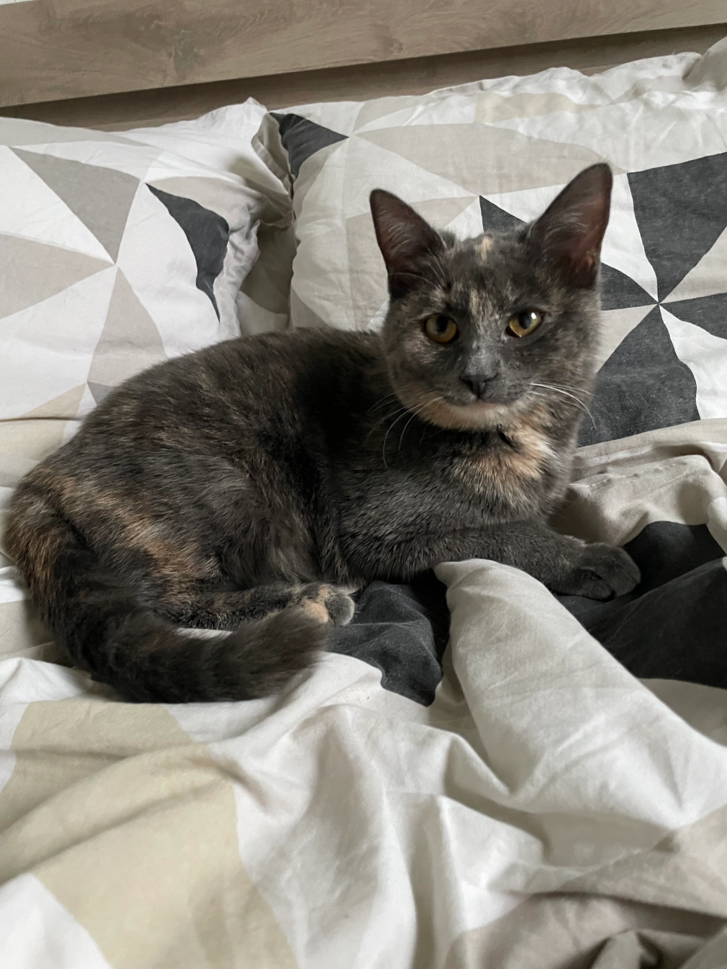 Vaï - Chemin des Glanots, Pesmes