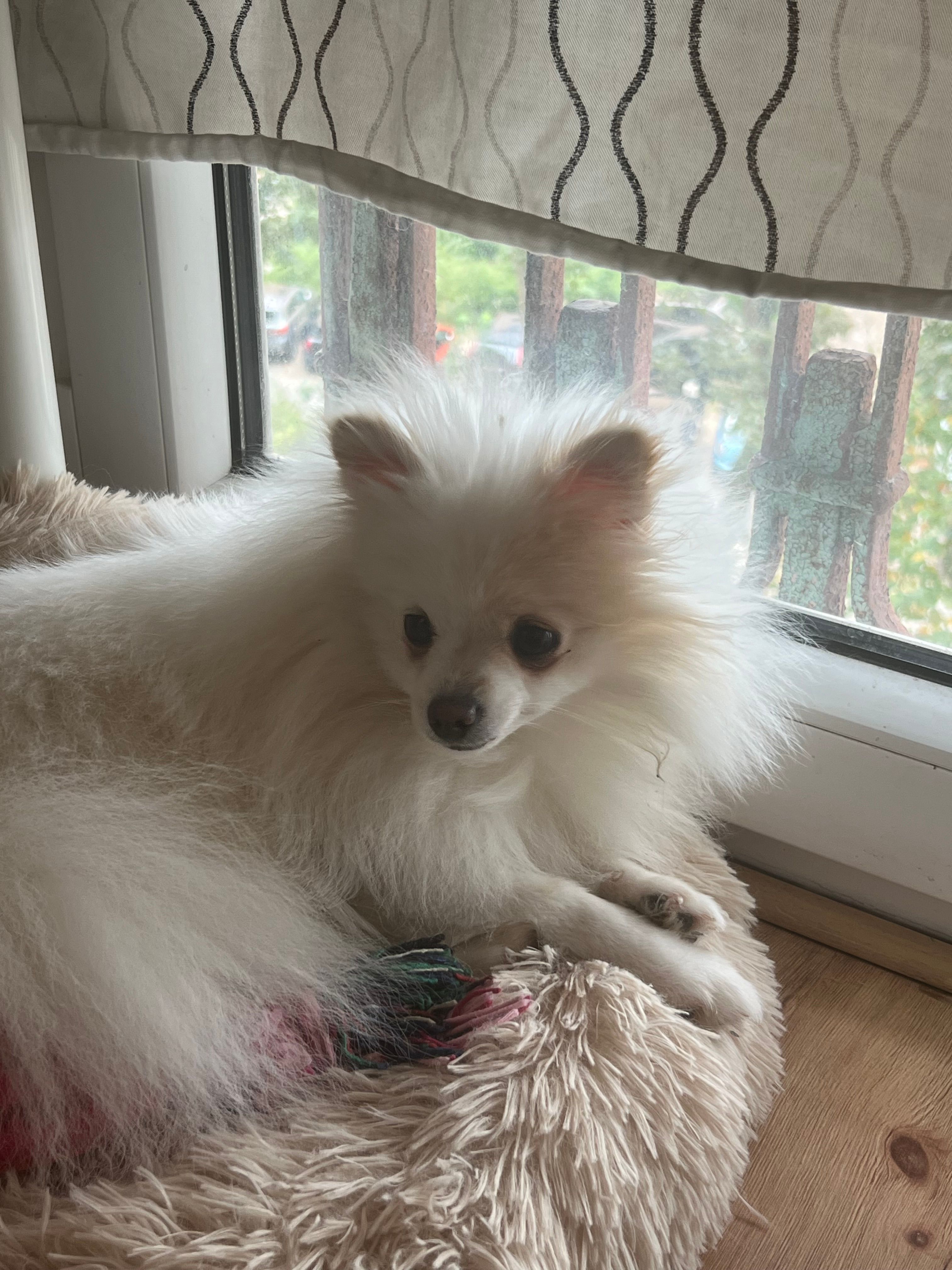 Chanel - Nowowiejska, Warsaw