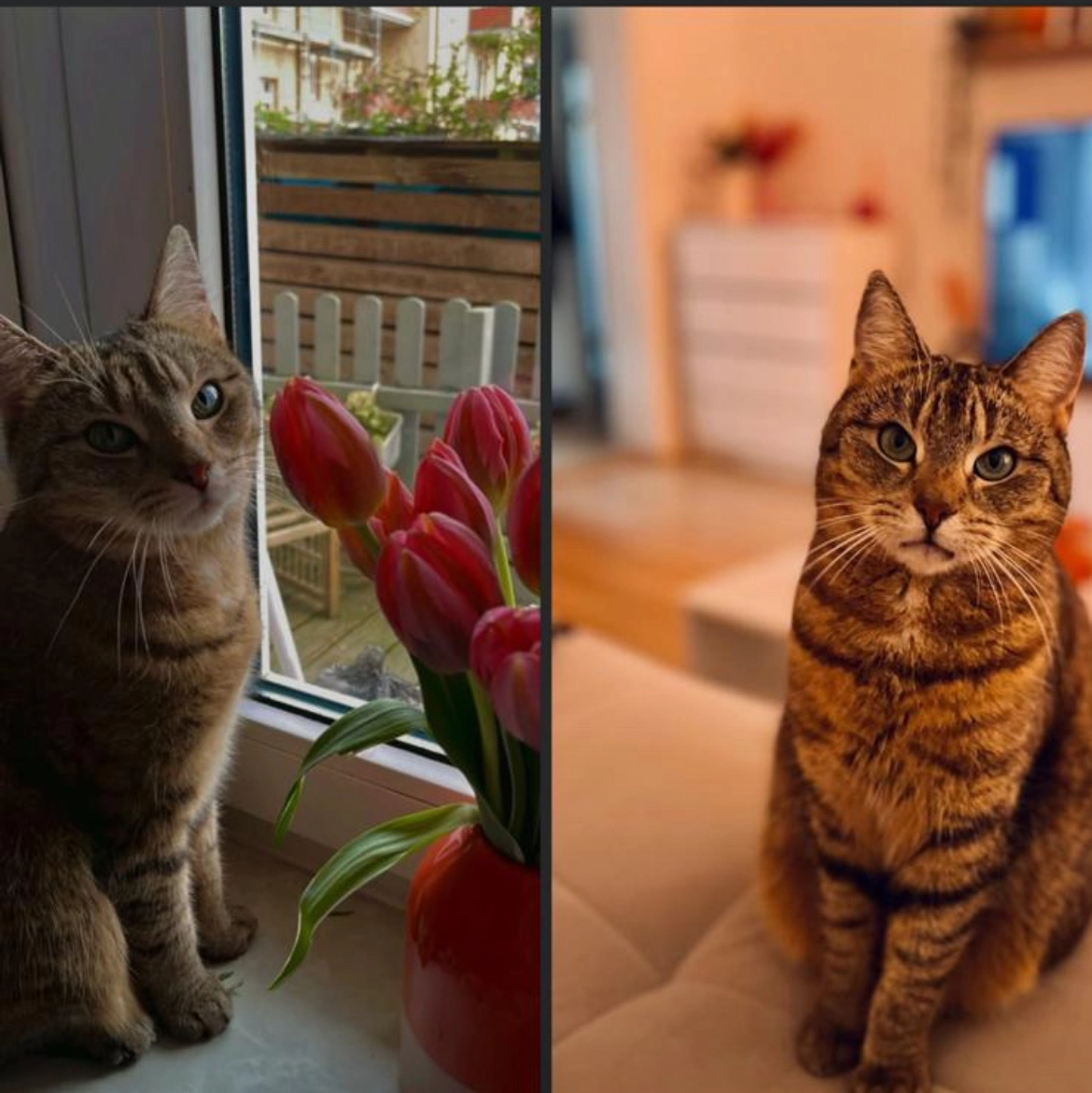 Sushie  - Von-Thünen-Straße, Schwerin