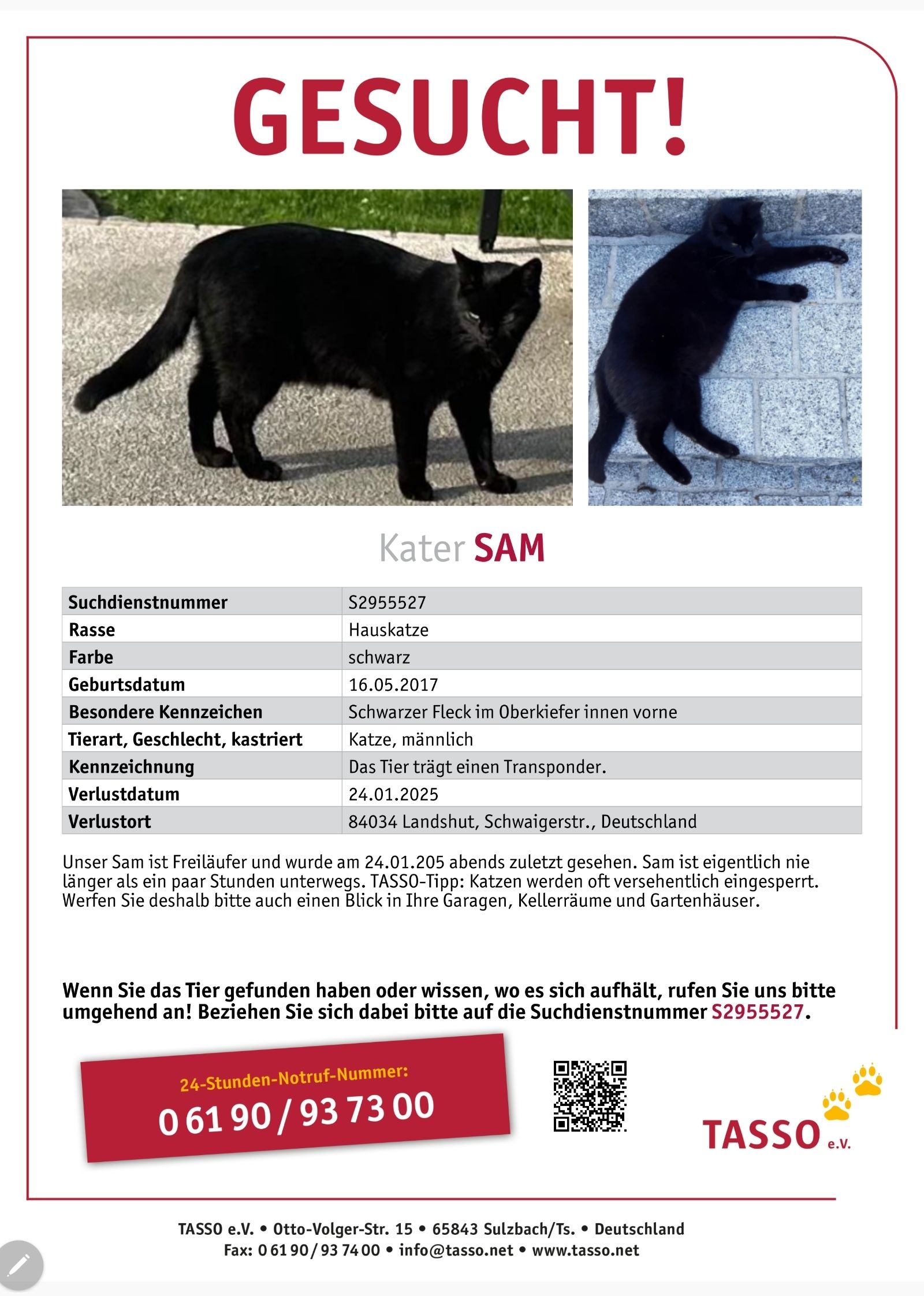 Sam - Schwaigerstraße, Landshut